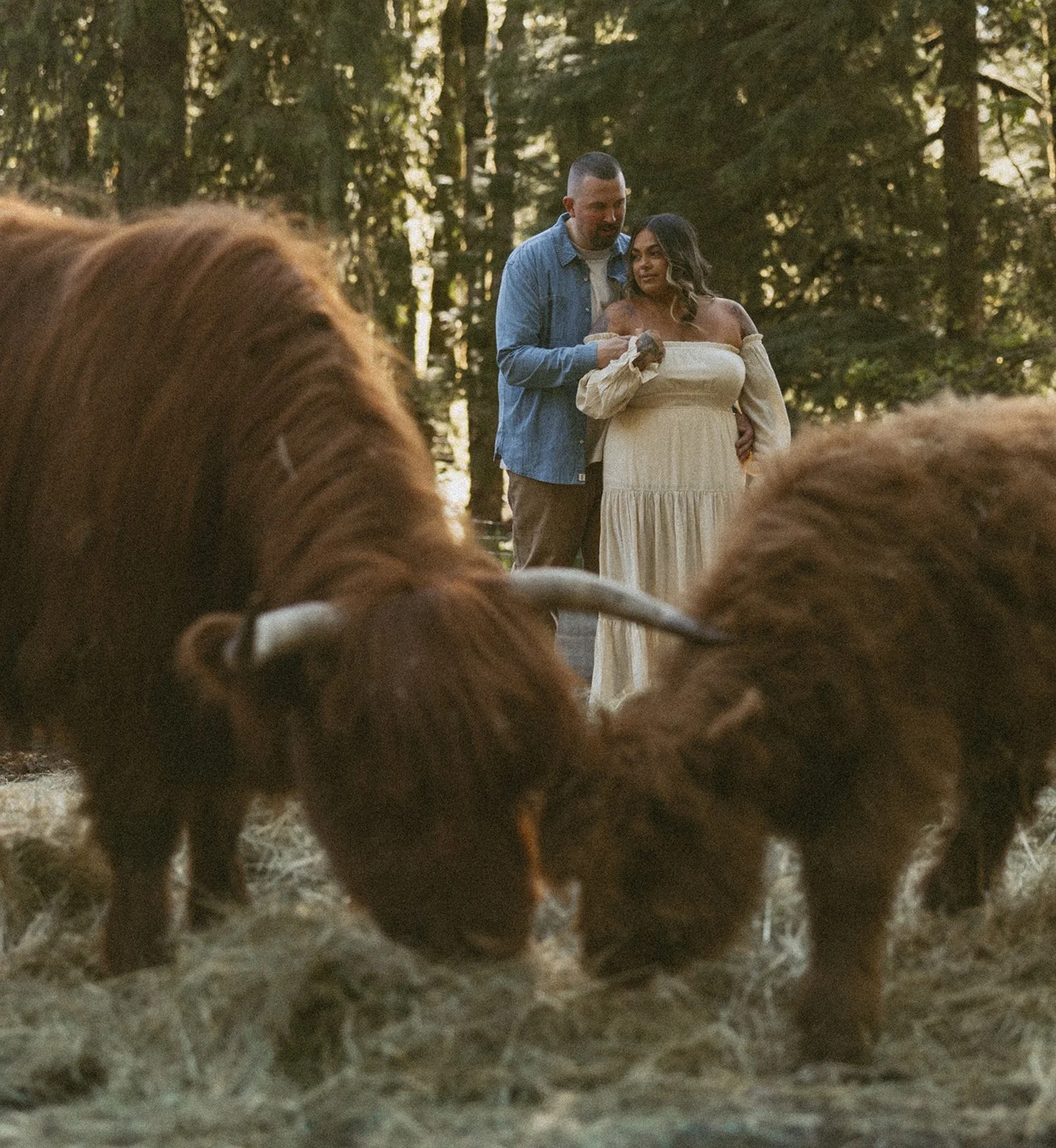vow-renewal-mt-hood-oregon-highland-cow-farms-oregon-elopement-airstream-vintage-storytelling-dawn-photo-68.jpg