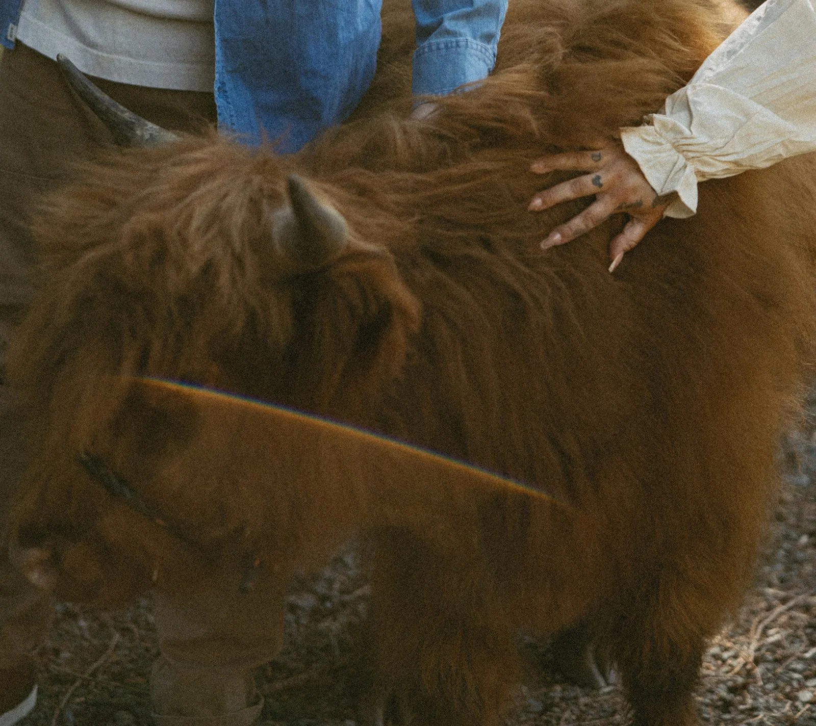 vow-renewal-mt-hood-oregon-highland-cow-farms-oregon-elopement-airstream-vintage-storytelling-dawn-photo-10.jpg