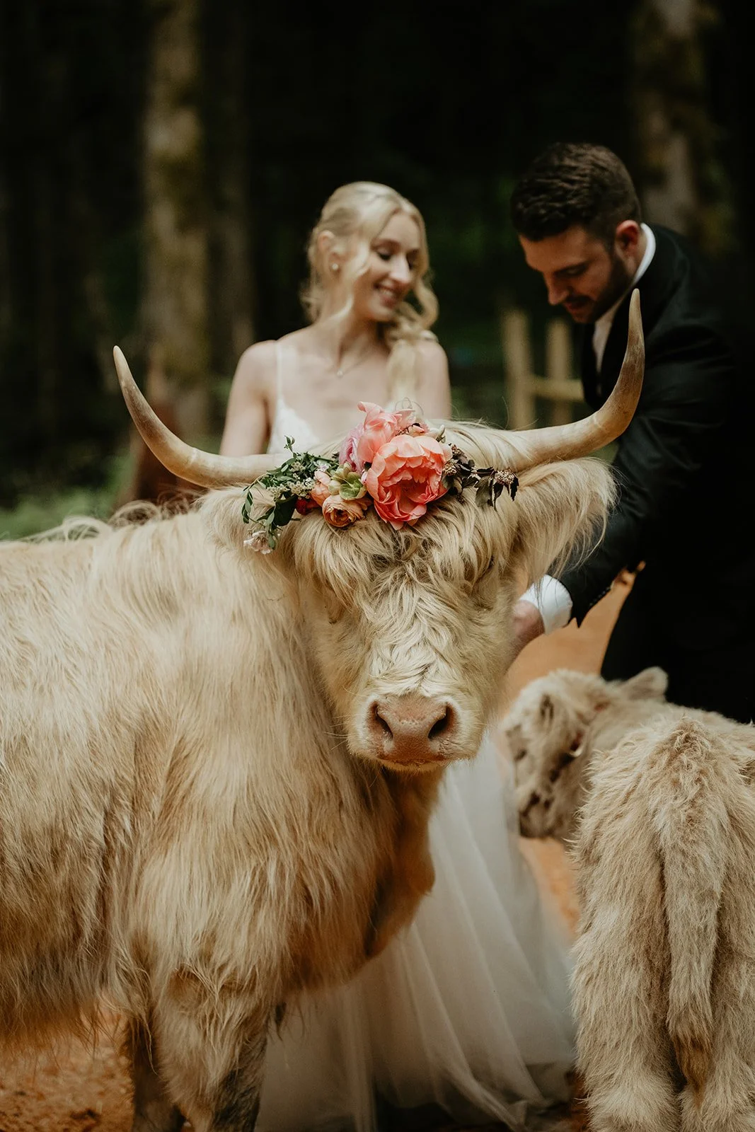 highland-farms-wedding-jen-ryan-247.jpg