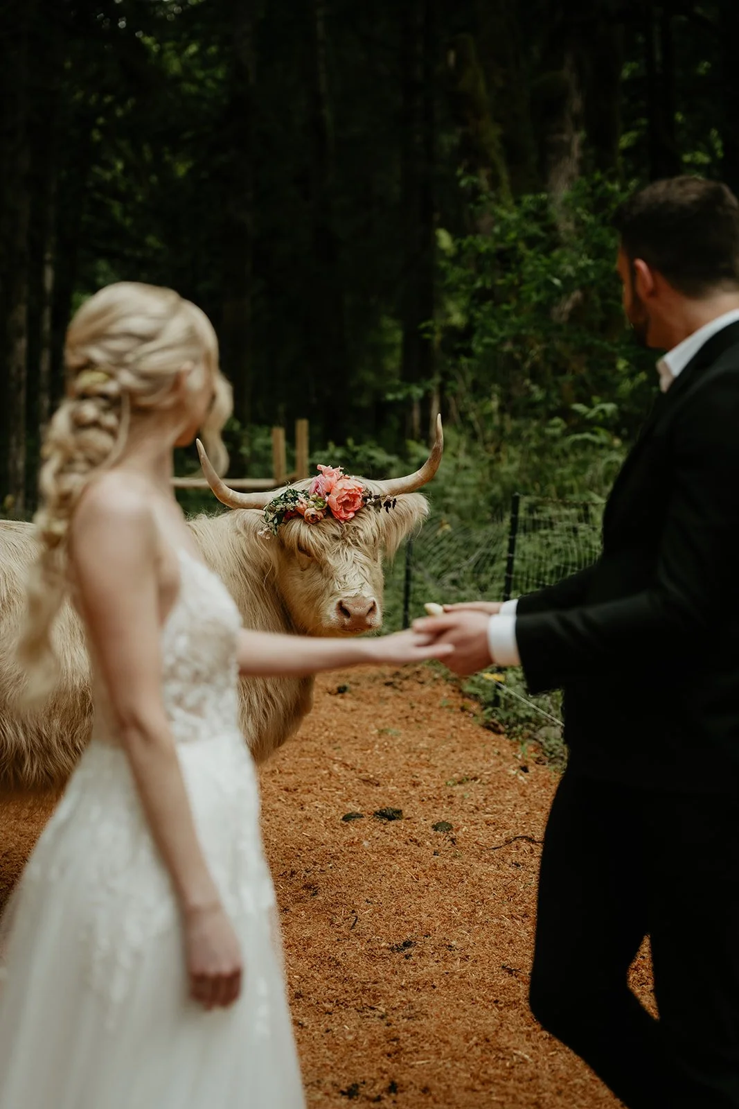 highland-farms-wedding-jen-ryan-252.jpg