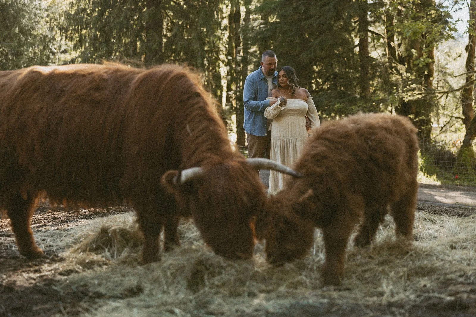 vow-renewal-mt-hood-oregon-highland-cow-farms-oregon-elopement-airstream-vintage-storytelling-dawn-photo-67.jpg