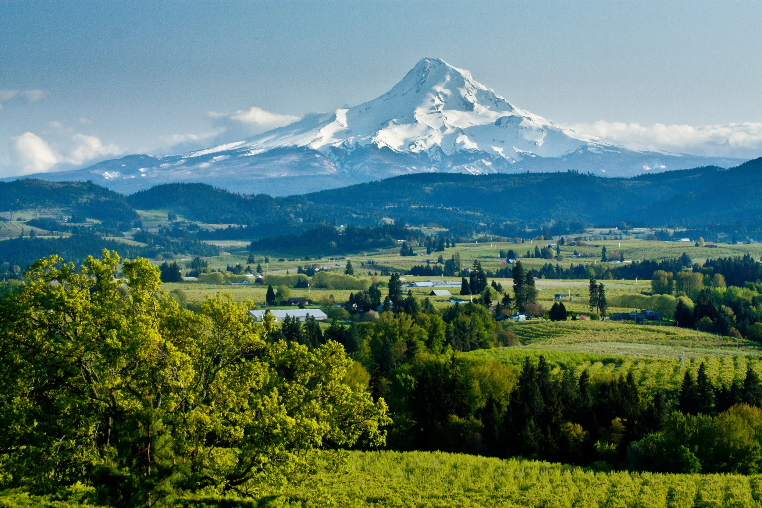 A snow-capped mountain in the background with green rolling hills and farmland in the foreground.