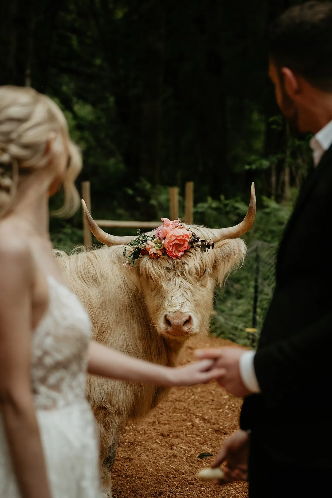 highland-farms-wedding-jen-ryan-253.jpg