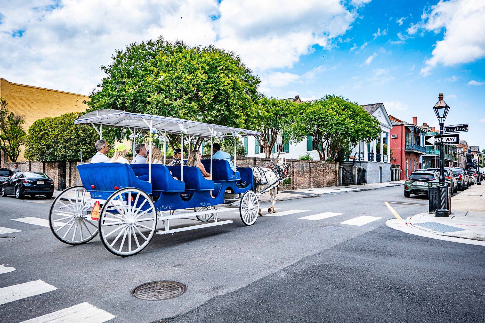 As we leave the Market behind, a mule-drawn carriage clatters by—slow and steady. The driver shares facts like a storyteller on repeat, pointing out history to riders taking in the view. It’s a short ride, but it feels like a shift. A moment to sit b