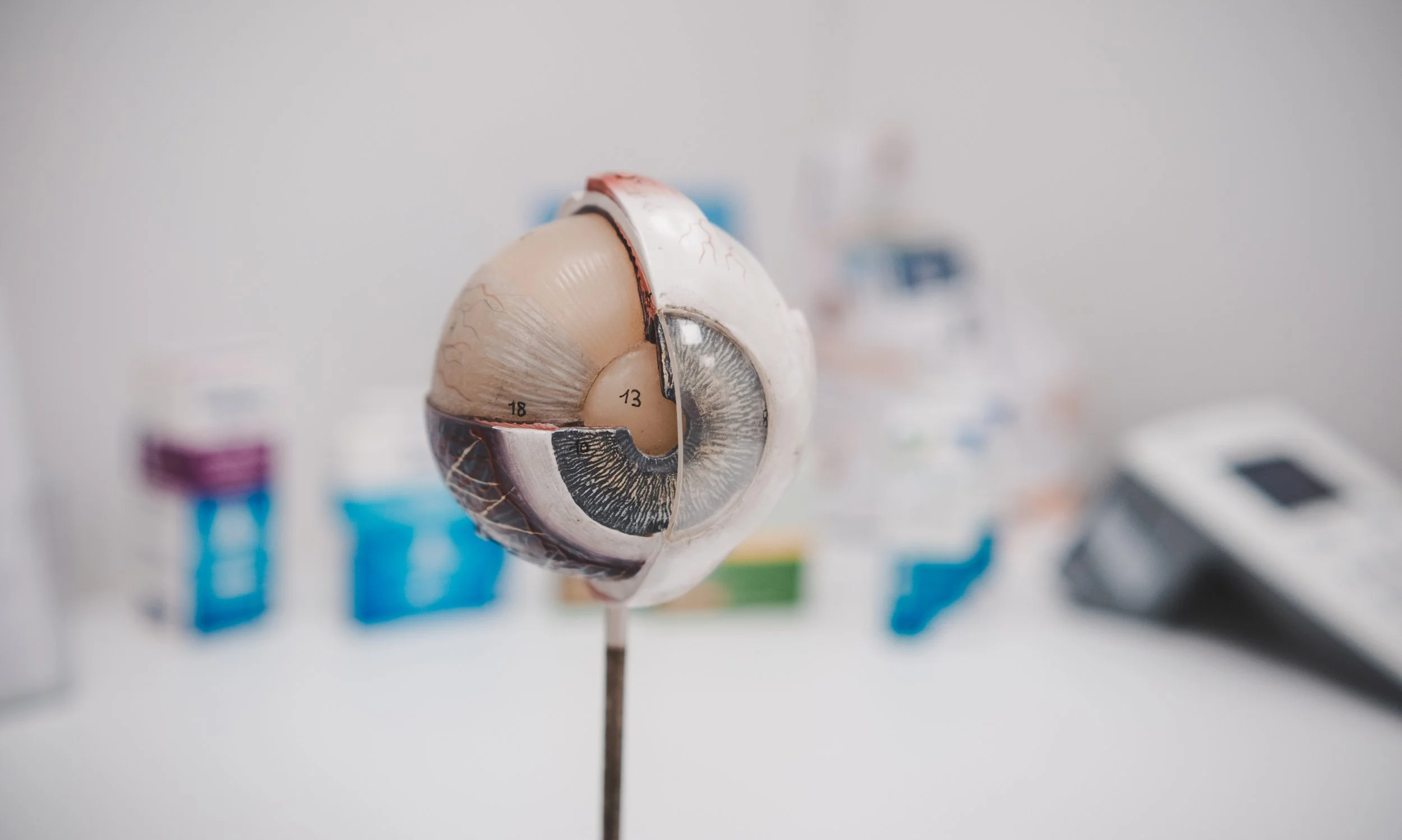 20230826 Praxis Akel-38.jpg