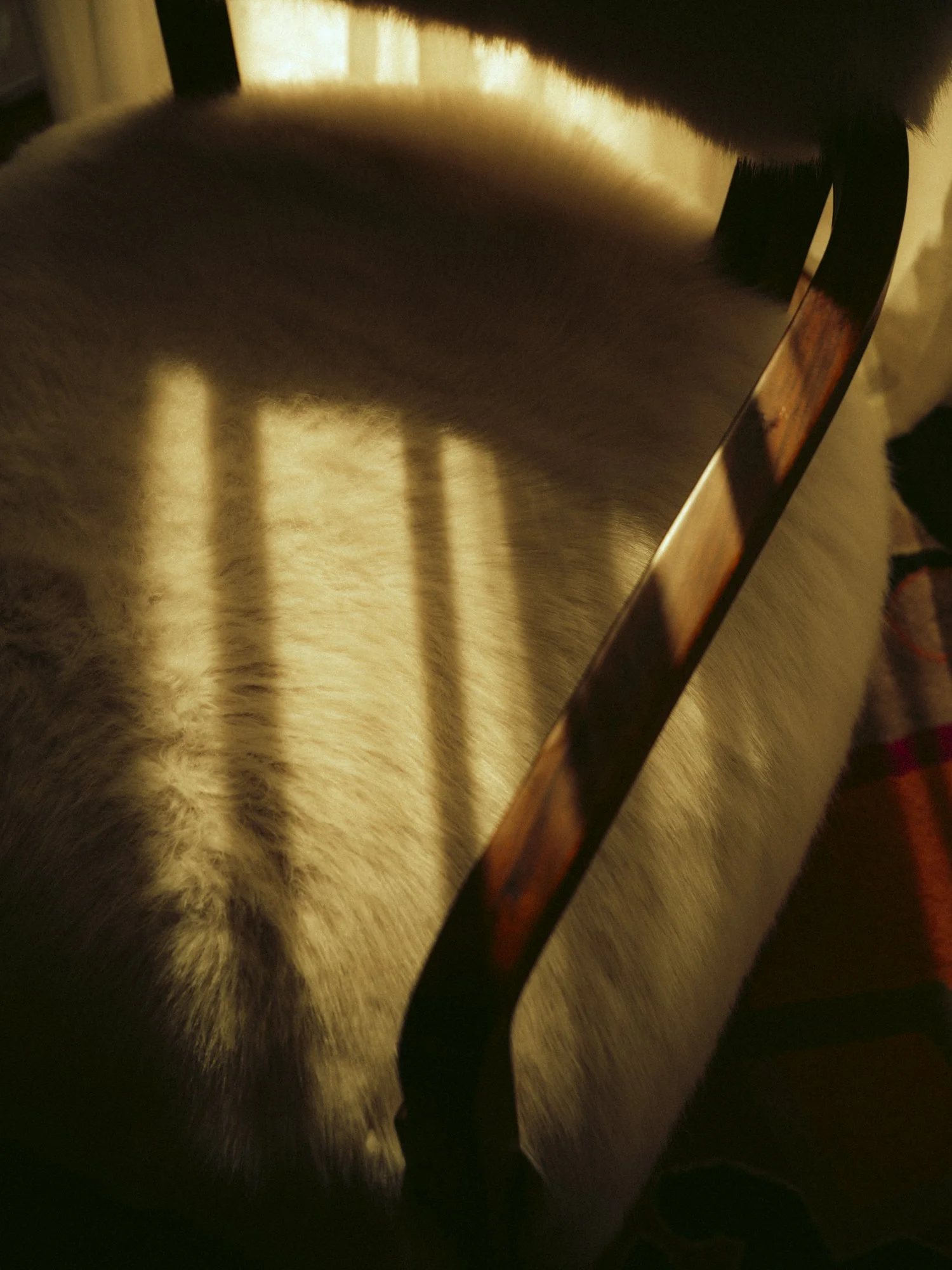 DSCF9330.jpg
