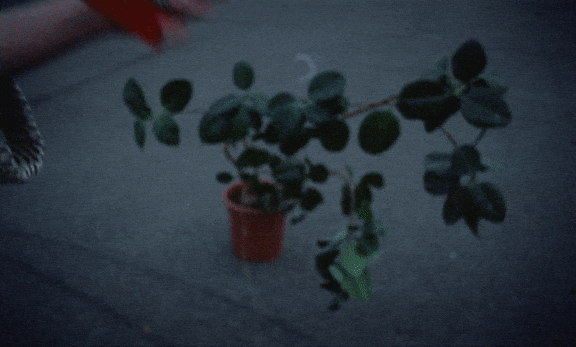 GIFS_90.gif