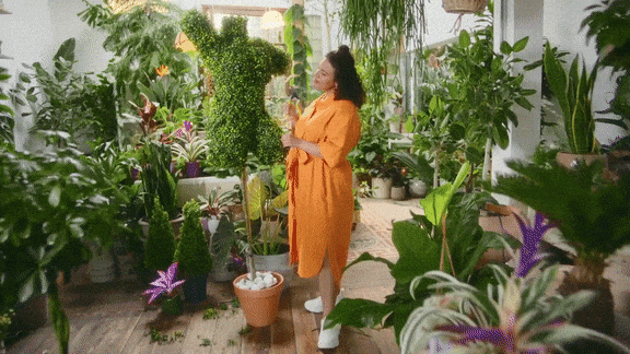GIFS_60.gif