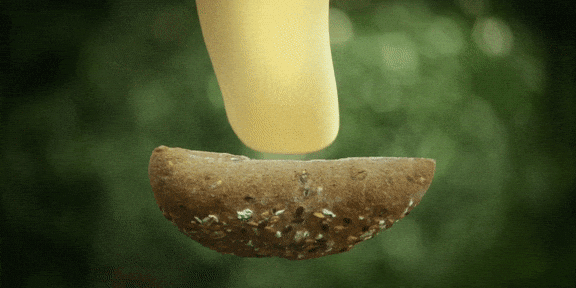 PICKLE SCRIPT_26.gif