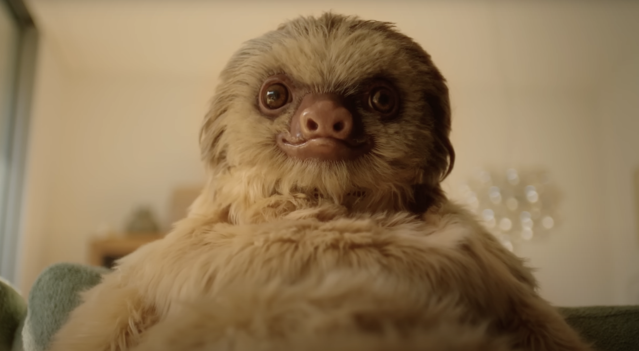 DAY 3_SLOTHS_6.png
