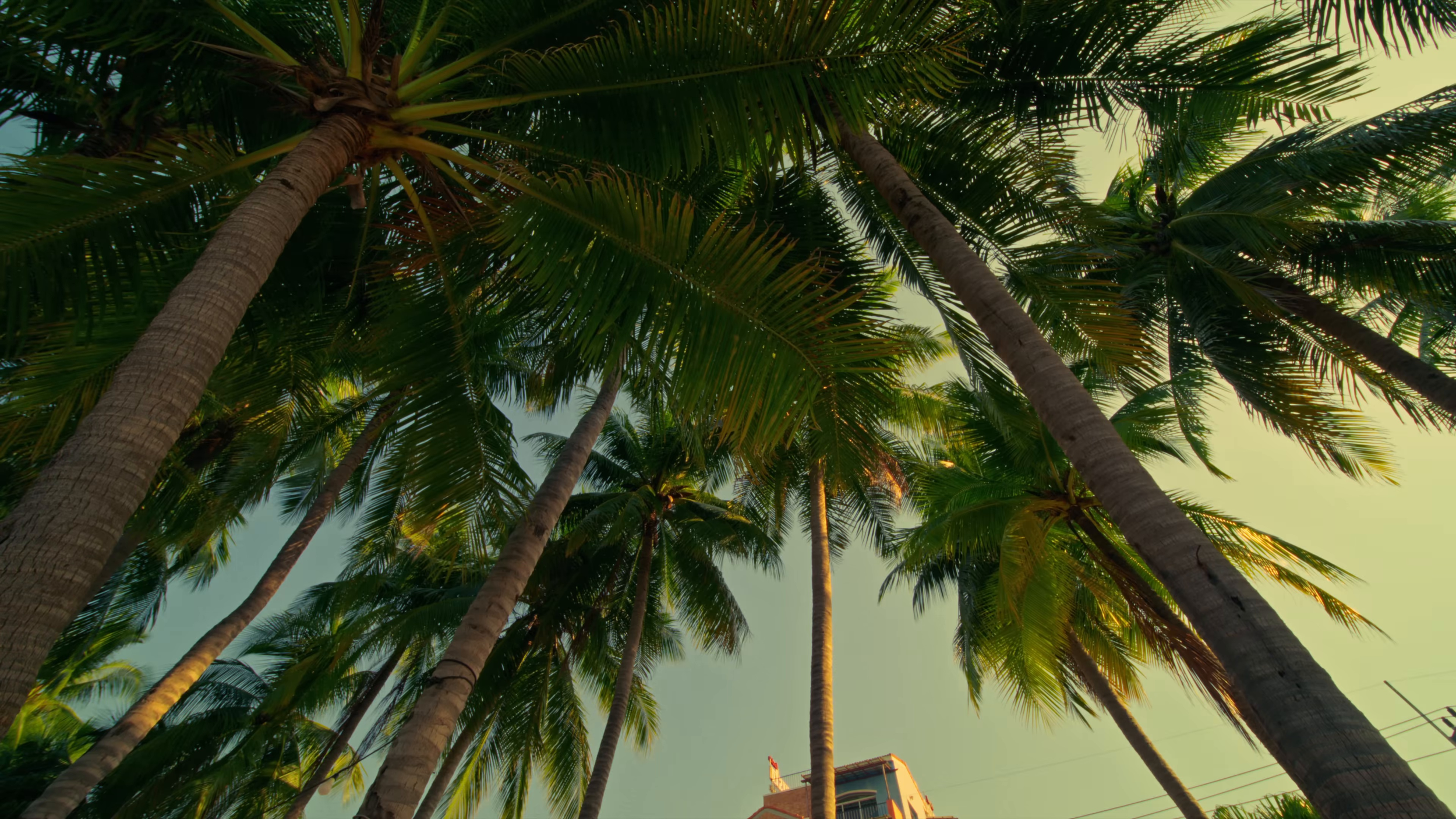 James Alyn - Don’t Worry.png