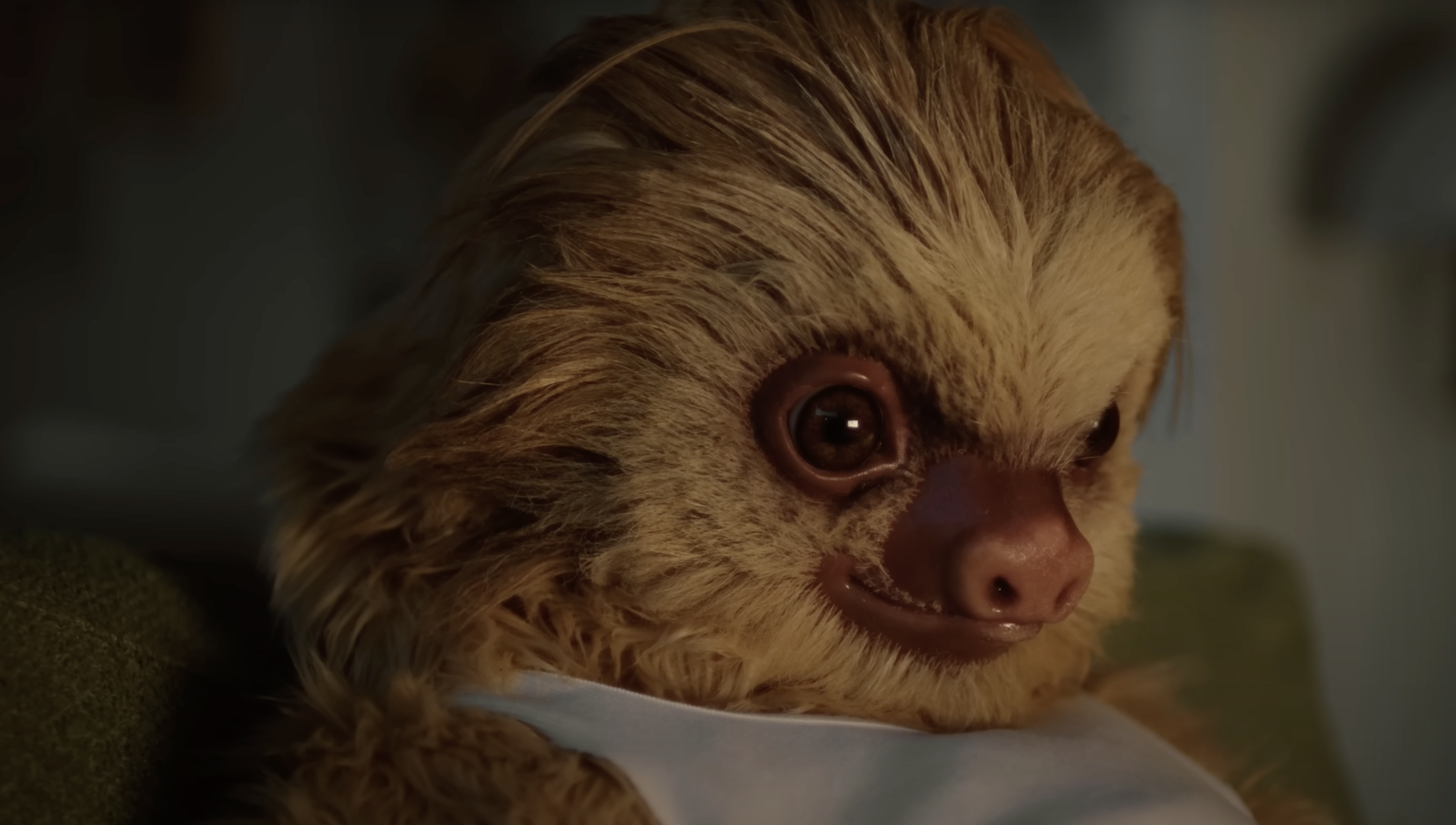 DAY 3_SLOTHS_2.png
