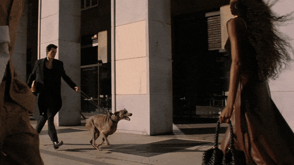 LOCATIONS_17.gif