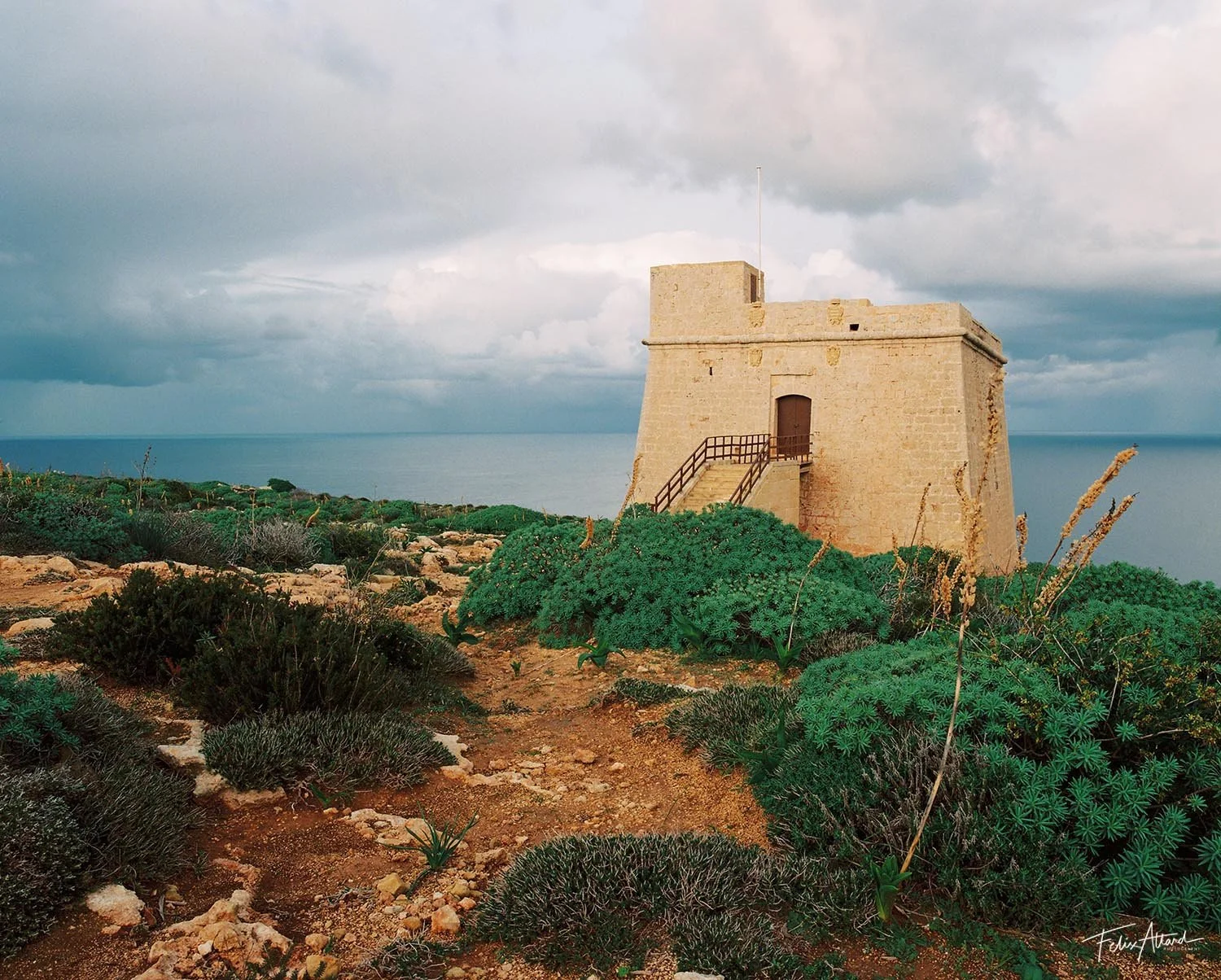 sopu-tower.jpg