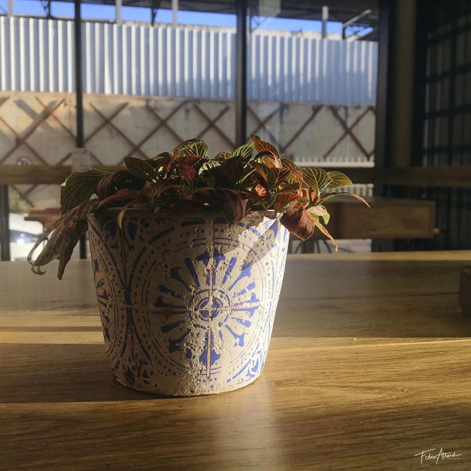 morning-light.jpg