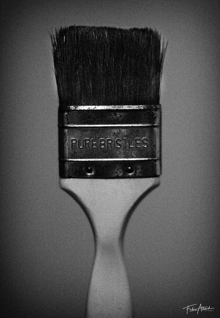 pure-bristles.jpg