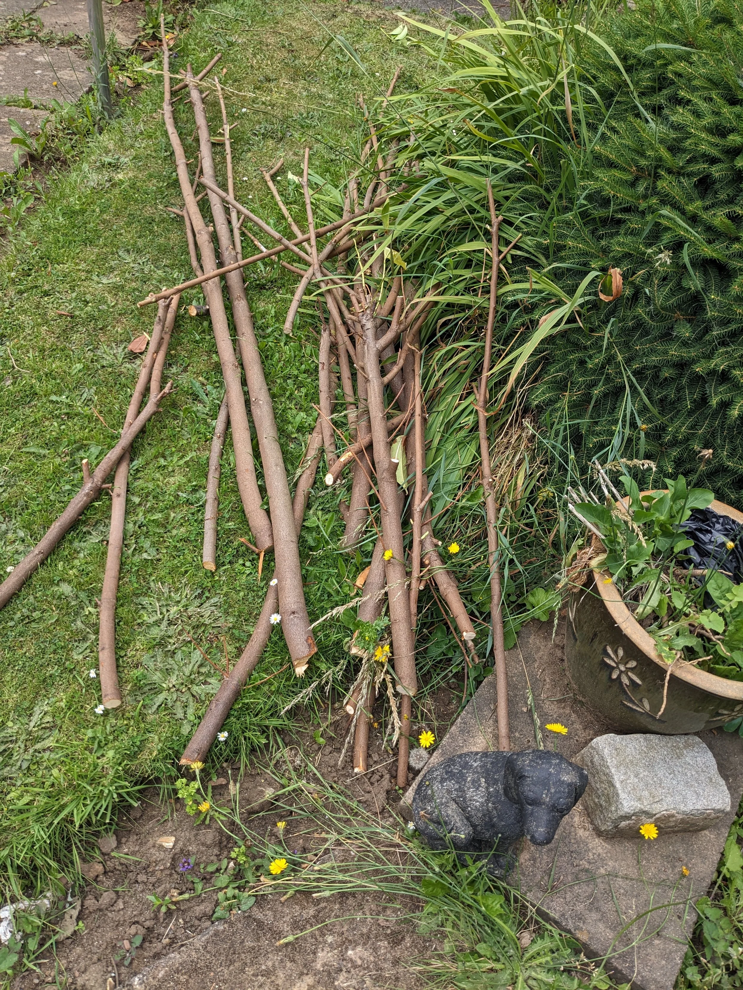 The leaves off the branches