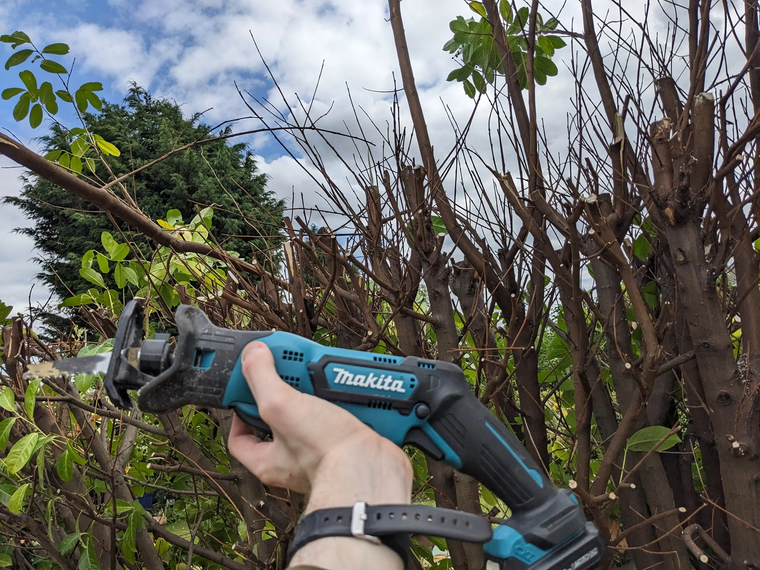 More of the tool used to prune
