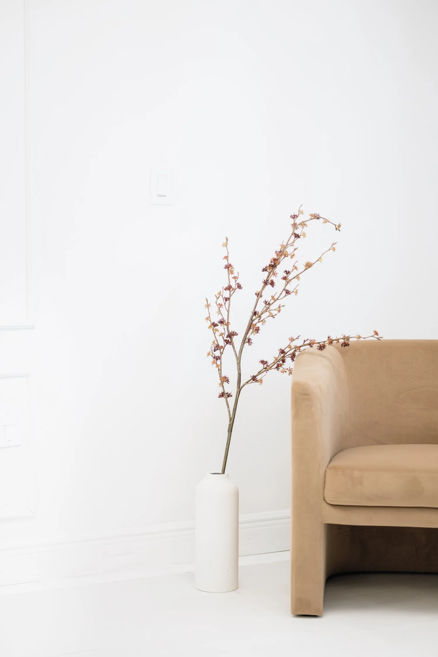 Why Is This Rare Red Labrador Lashing Out—Meet The Dog Redefining Headshots Forever