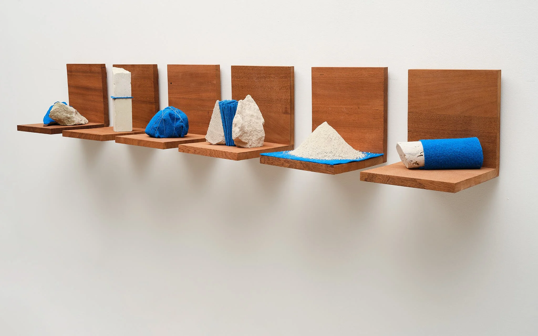 Alice_SF_Shelves_May25_39331.jpg