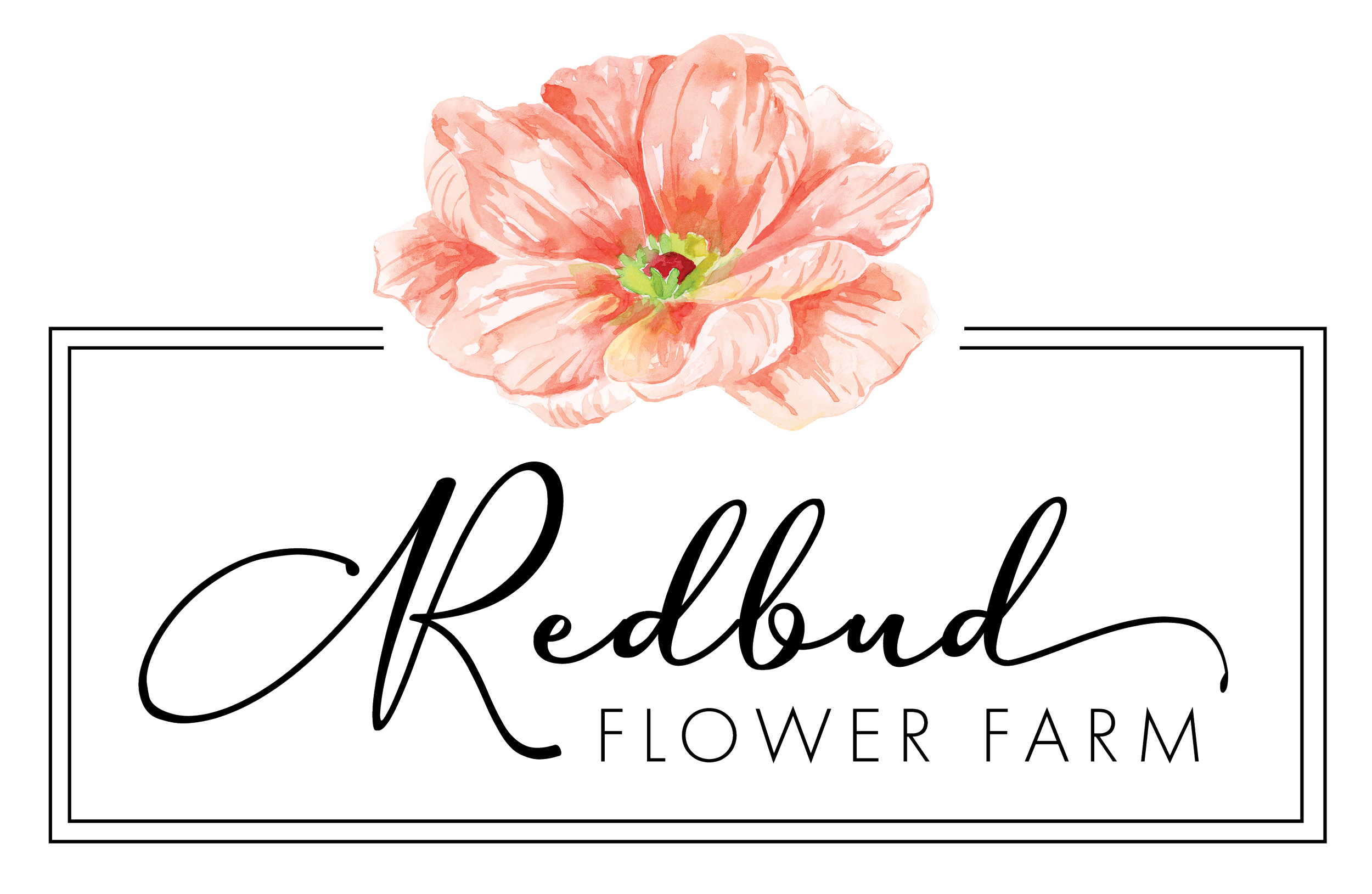 RBLogo Watercolor web.png