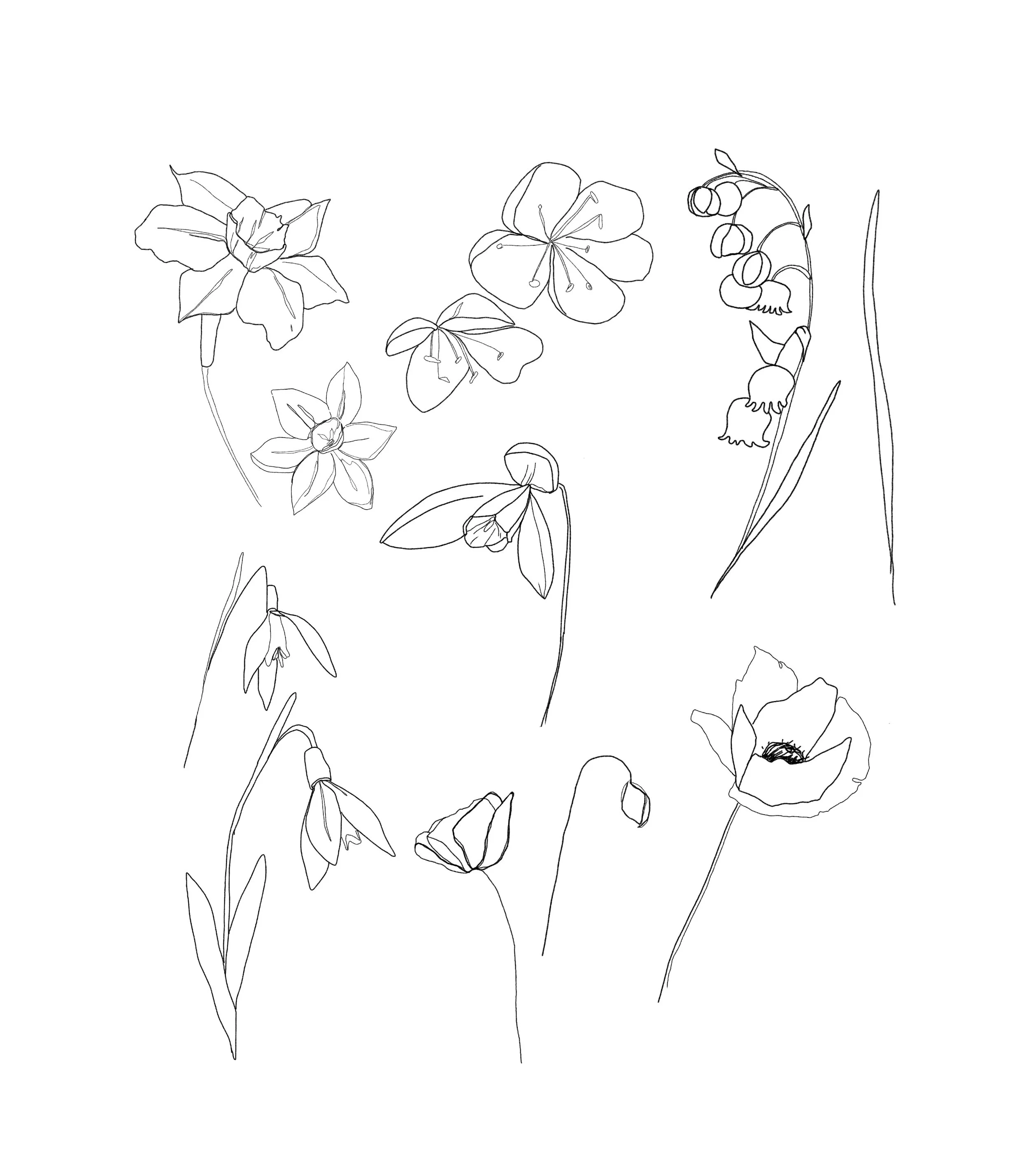 Untitled_Artwork 6.JPG