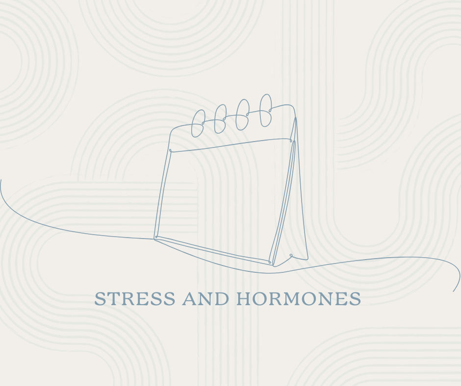 The Impact of Stress on Female Hormones