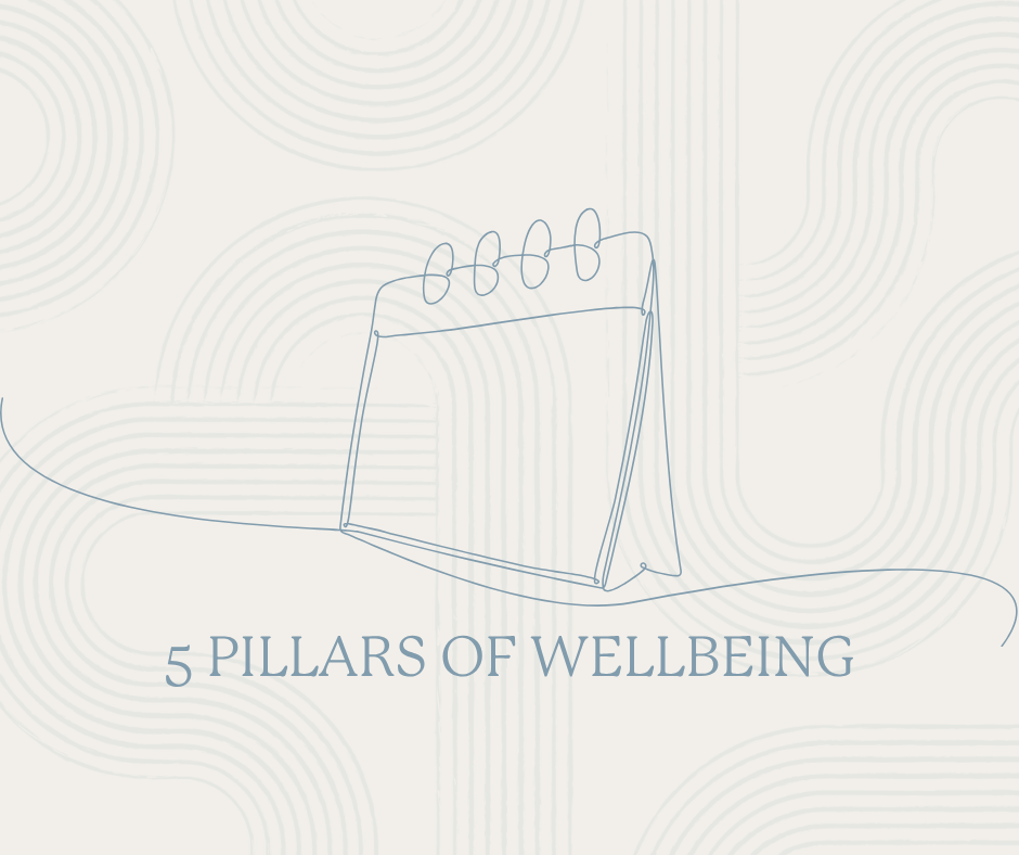 The 5 Pillars of Wellbeing in PMDD: A Whole-Body Approach to Hormone Sensitivity