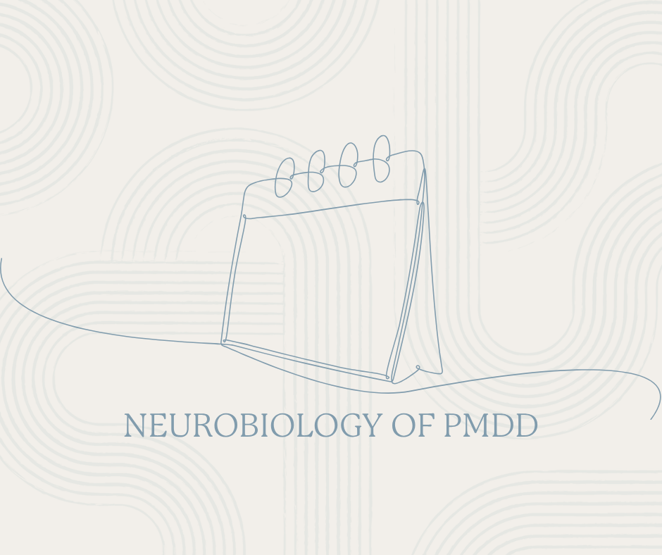 The Neurobiology of PMDD: What Brain Imaging Actually Shows Us