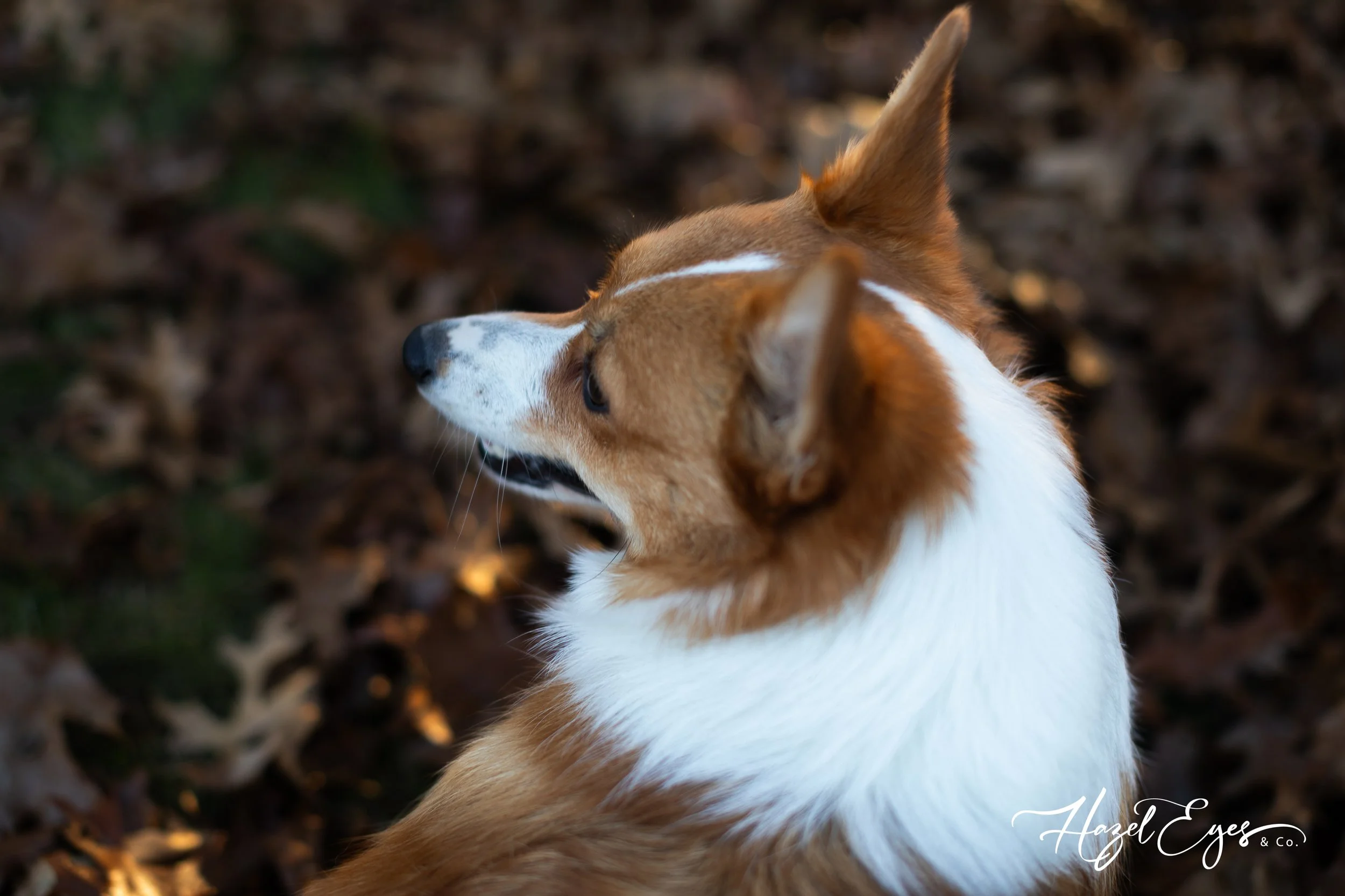 TempletonFamily-11122023-3.jpg