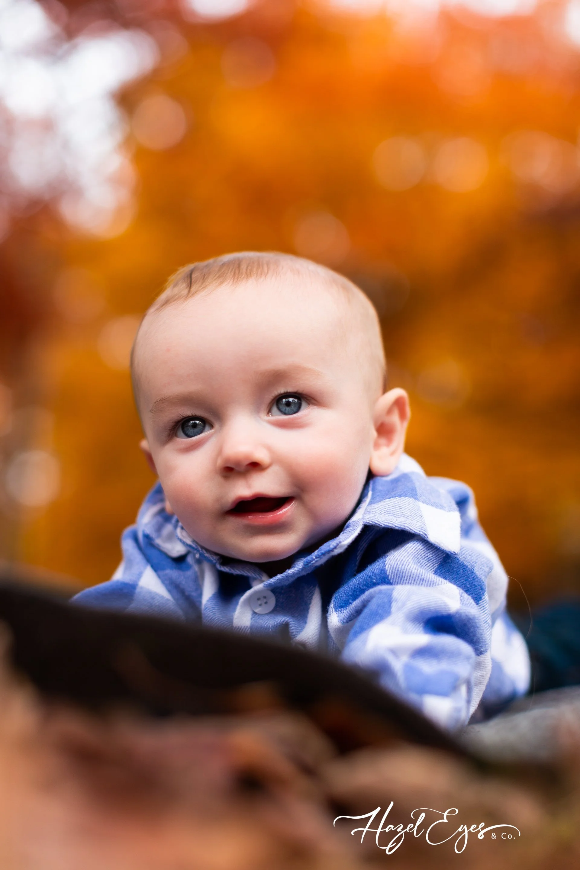 SchonfieldFamily-10242022-23.jpg