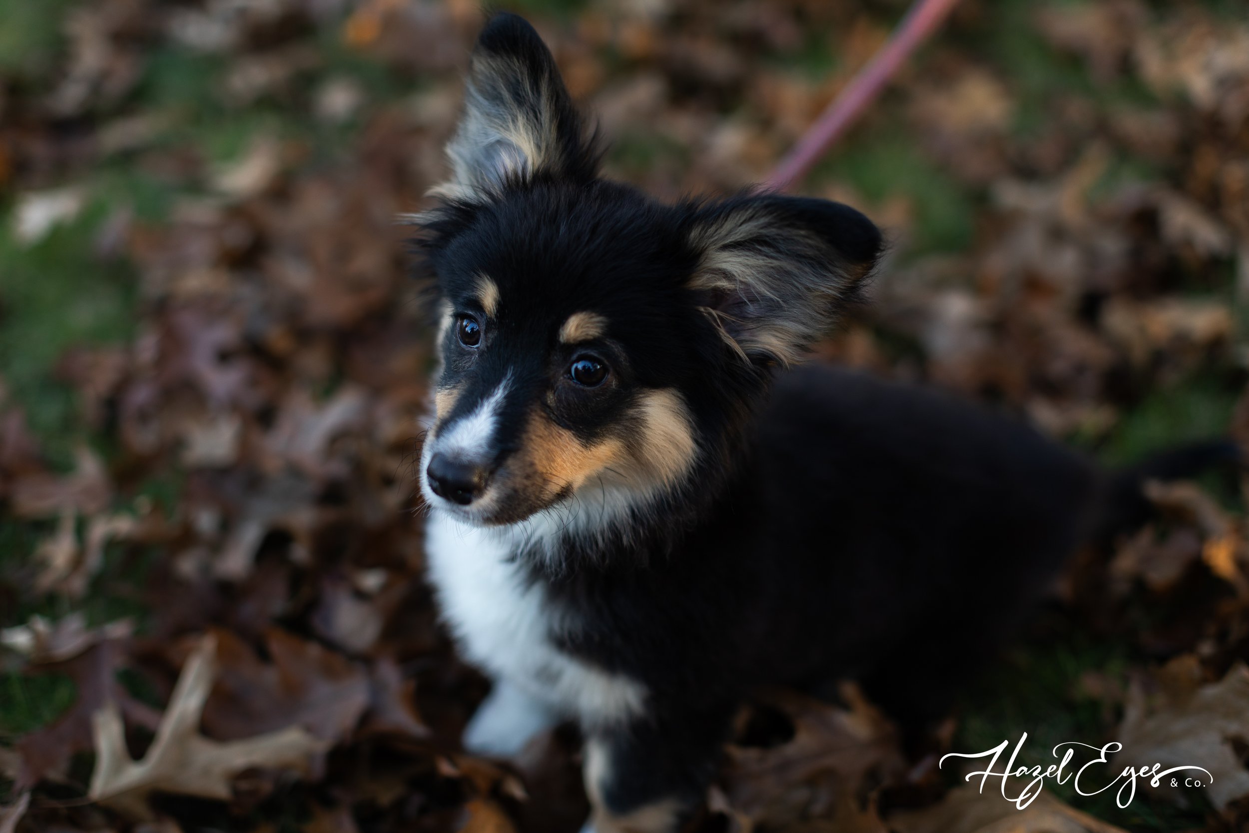 TempletonFamily-11122023-5.jpg