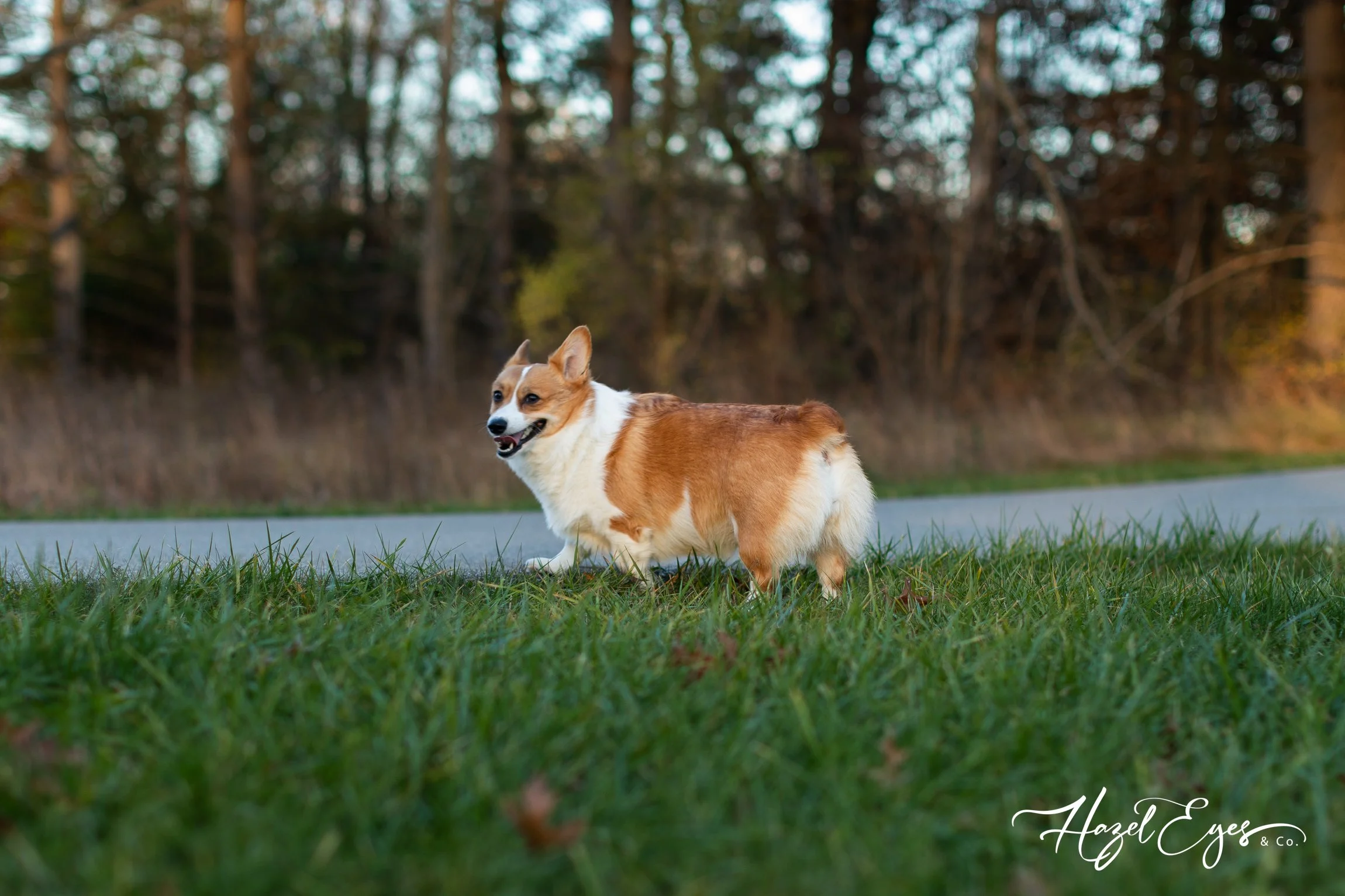 TempletonFamily-11122023-29.jpg