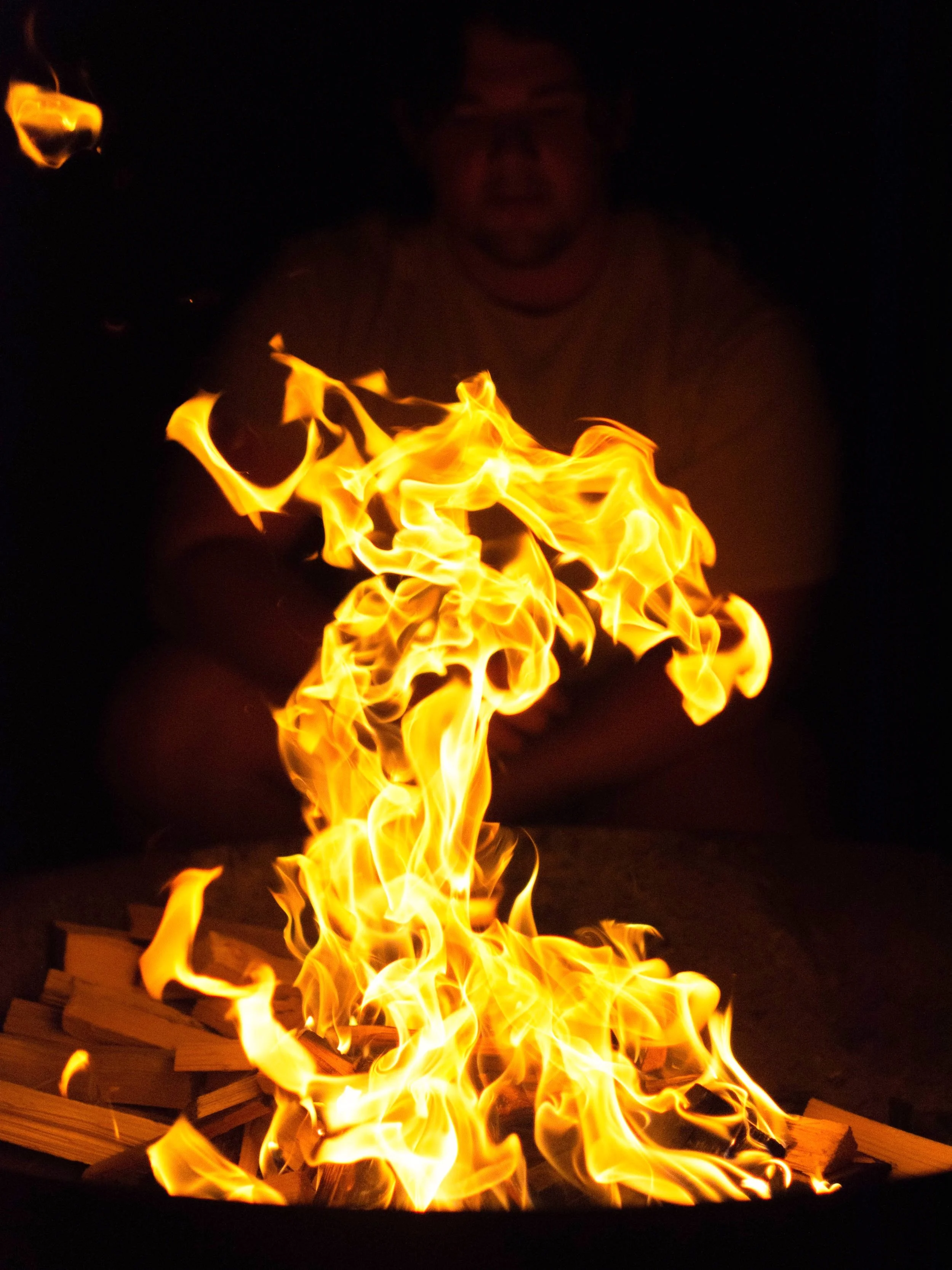 DSC_0145.jpg