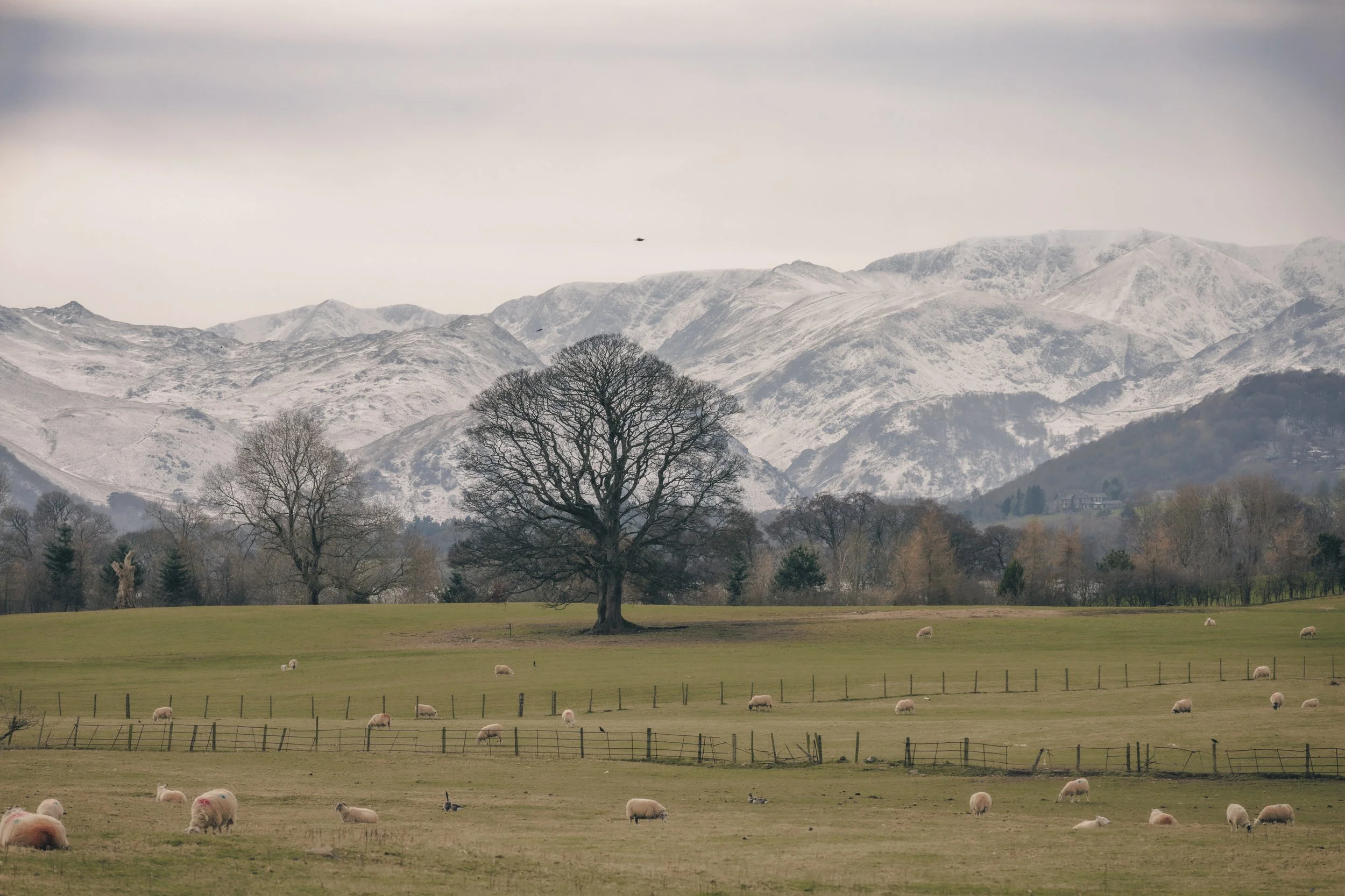 View towards Beda Fell from the side of Ullswater.
