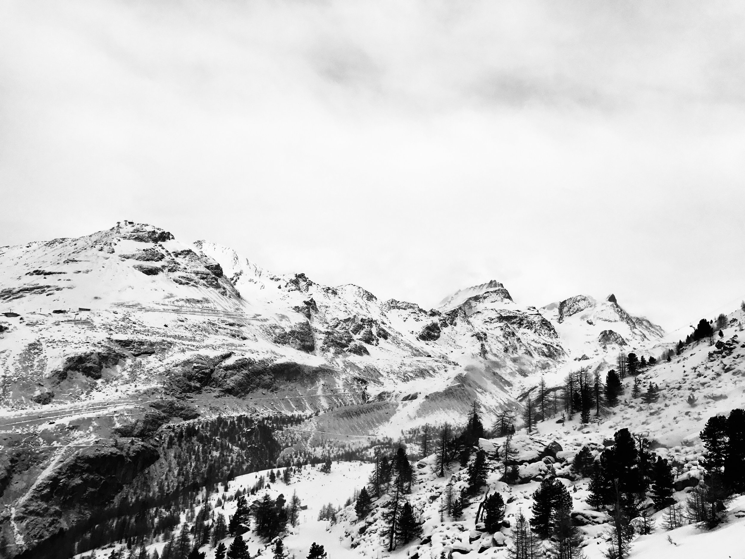 D330963C-56B4-4951-8DD2-254DD3AD866F.jpeg