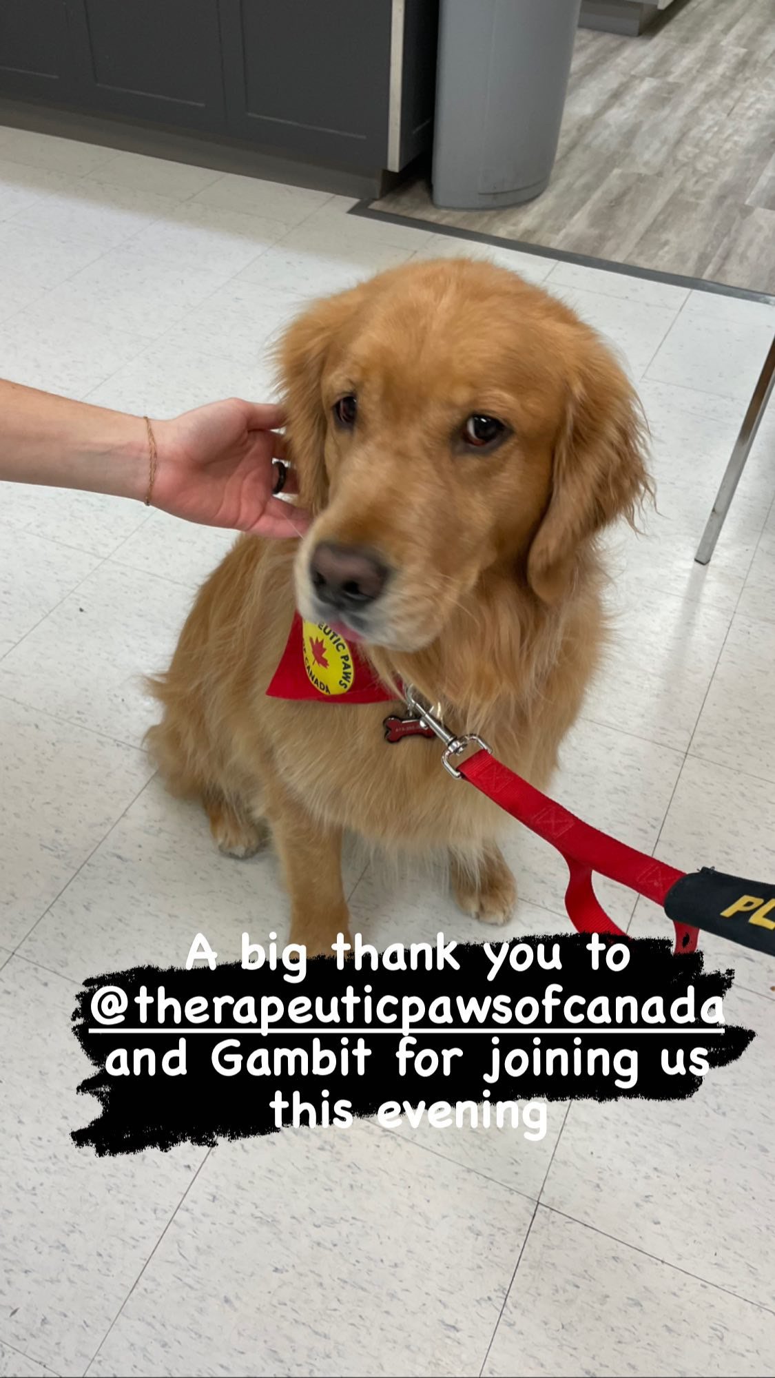 Pet Night Coffee Series thanks to Therapeutic Paws of Canada with Nancy her and dog Gambit. 