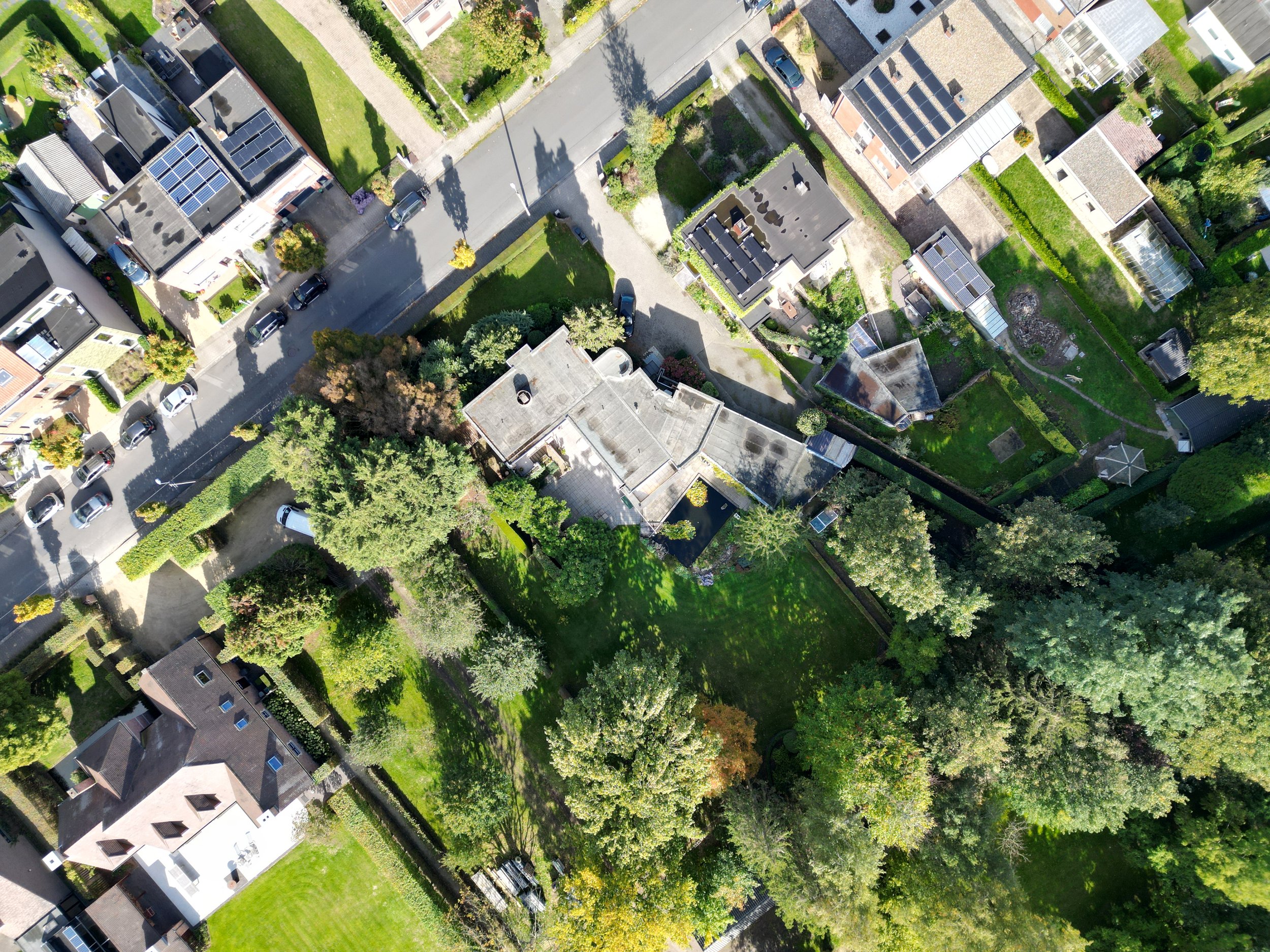 ZENOBE BOVENZICHT 3.JPG