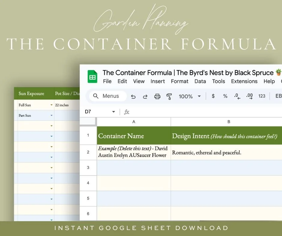 The Container Formula | The Byrd's Nest by Black Spruce