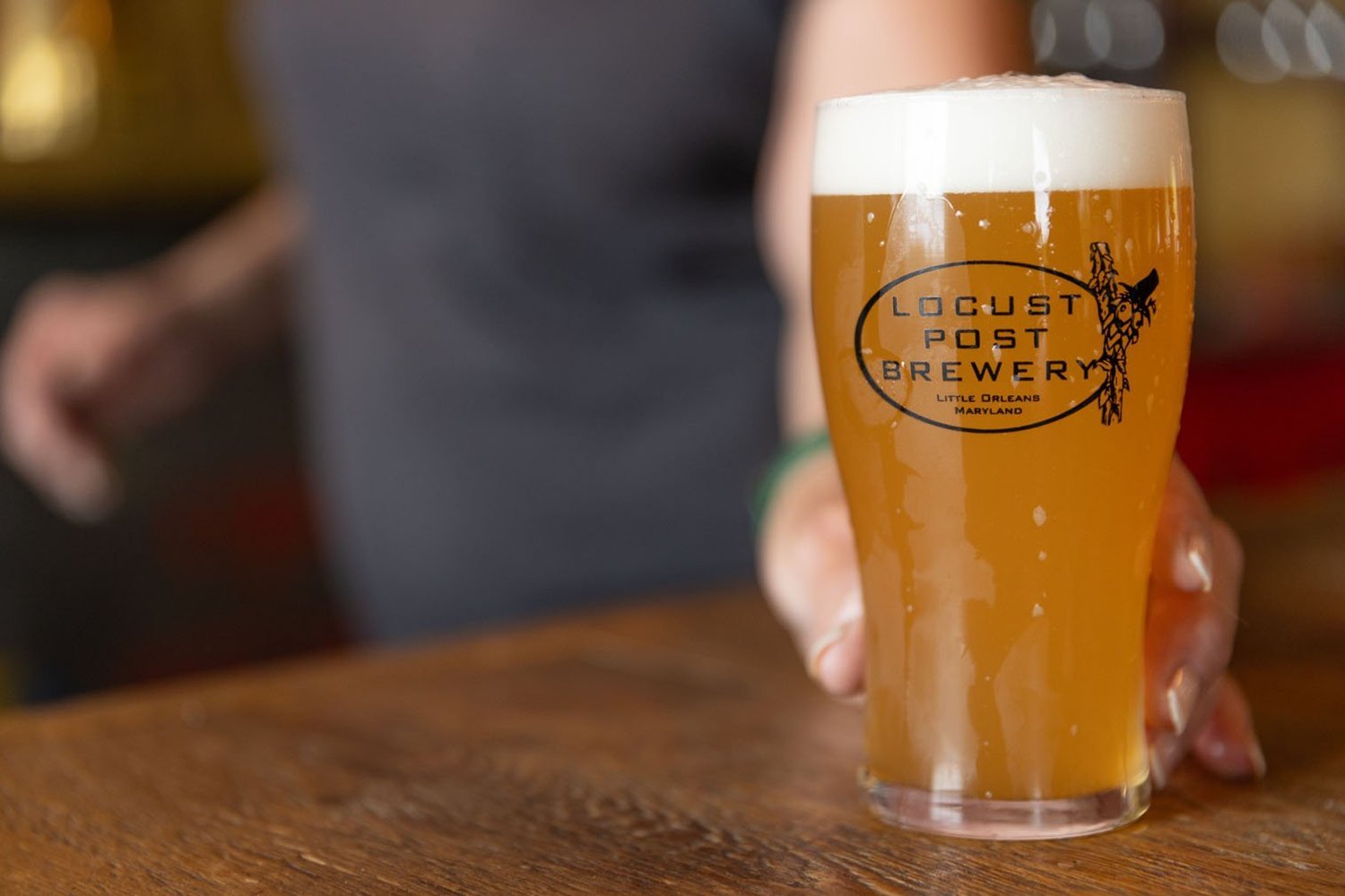 A hand holding a glass of beer with the logo of Locust Post Brewery and an illustration of a locust on it, sitting on a wooden surface.