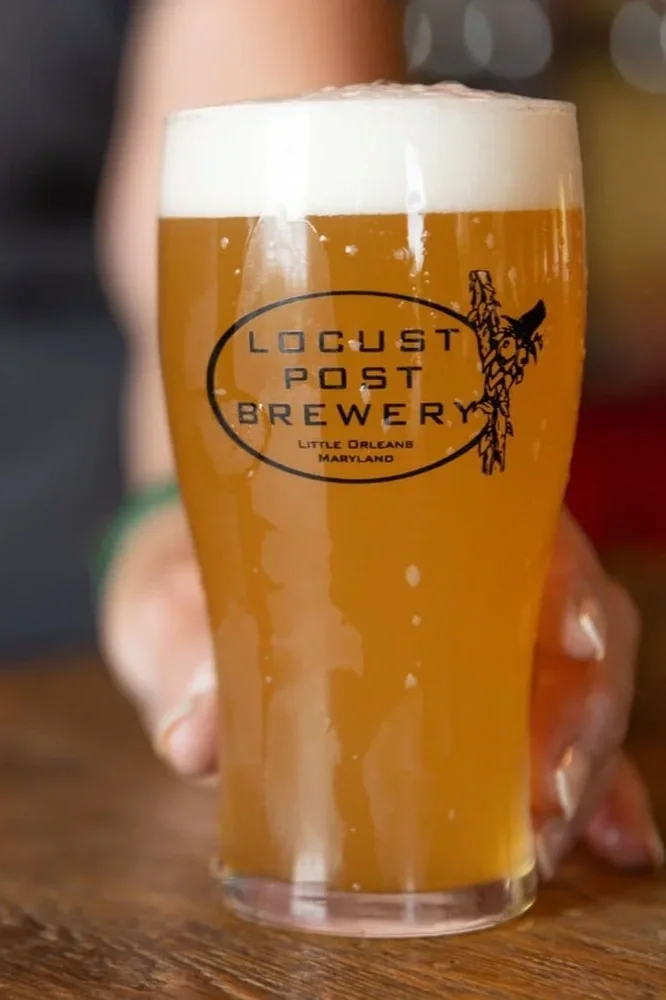 A glass of beer with a frothy head, featuring a logo for Locust Post Brewery in Little Orleans, Maryland.