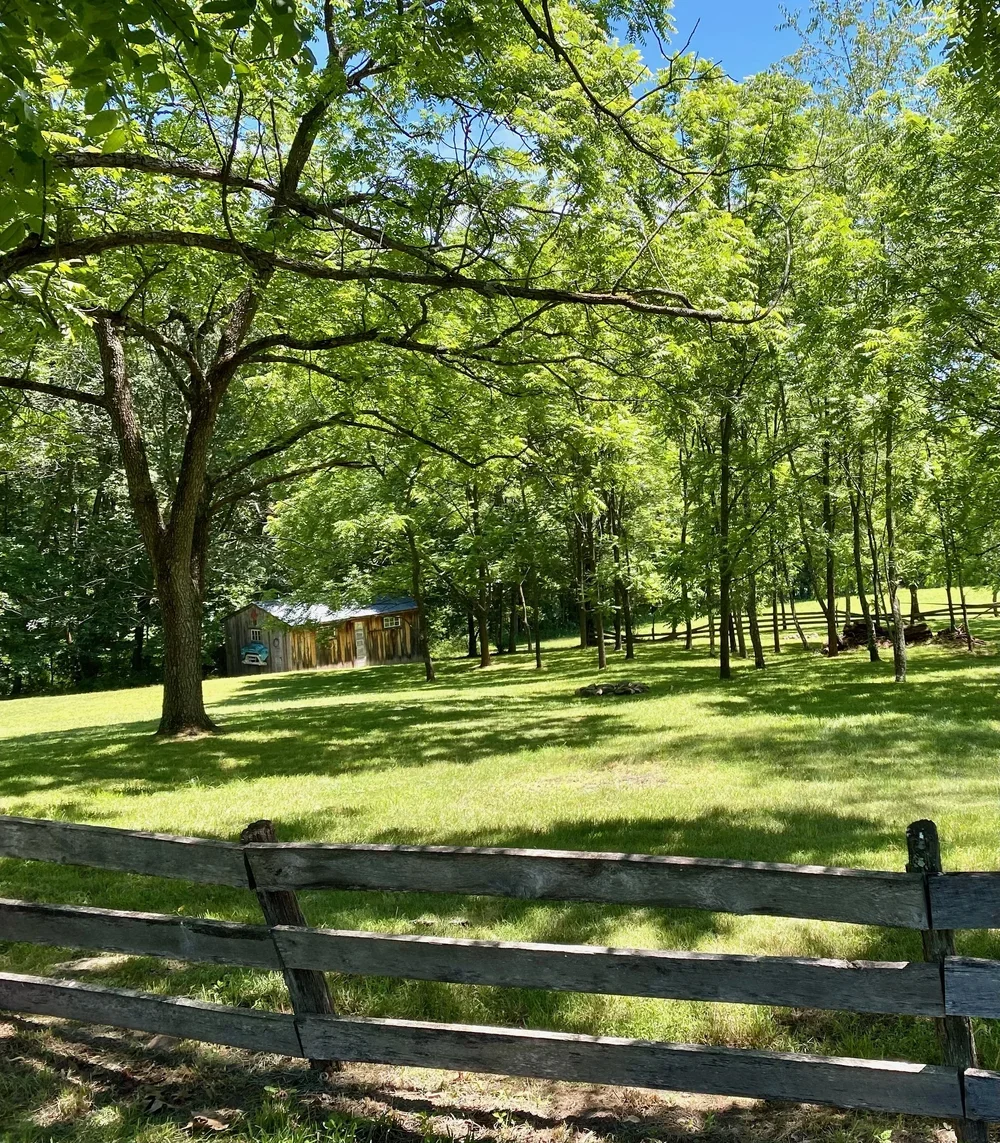 A green grassy yard with large trees, a weathered wooden fence in the foreground, and a small wooden shed with a blue roof and window in the background, under a bright blue sky.