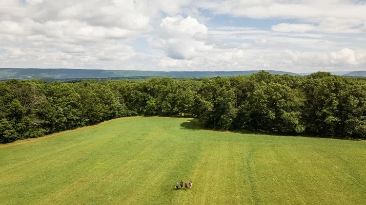 Aerial view of a lush green open field with a group of people gathered at the center, surrounded by trees and under a partly cloudy sky.
