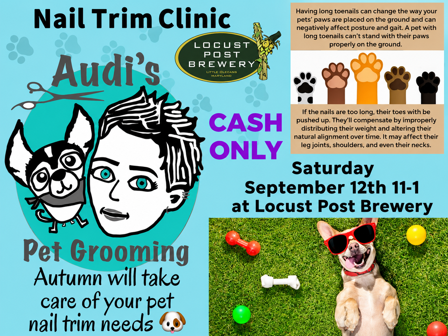 Audi’s Nail trim clinic