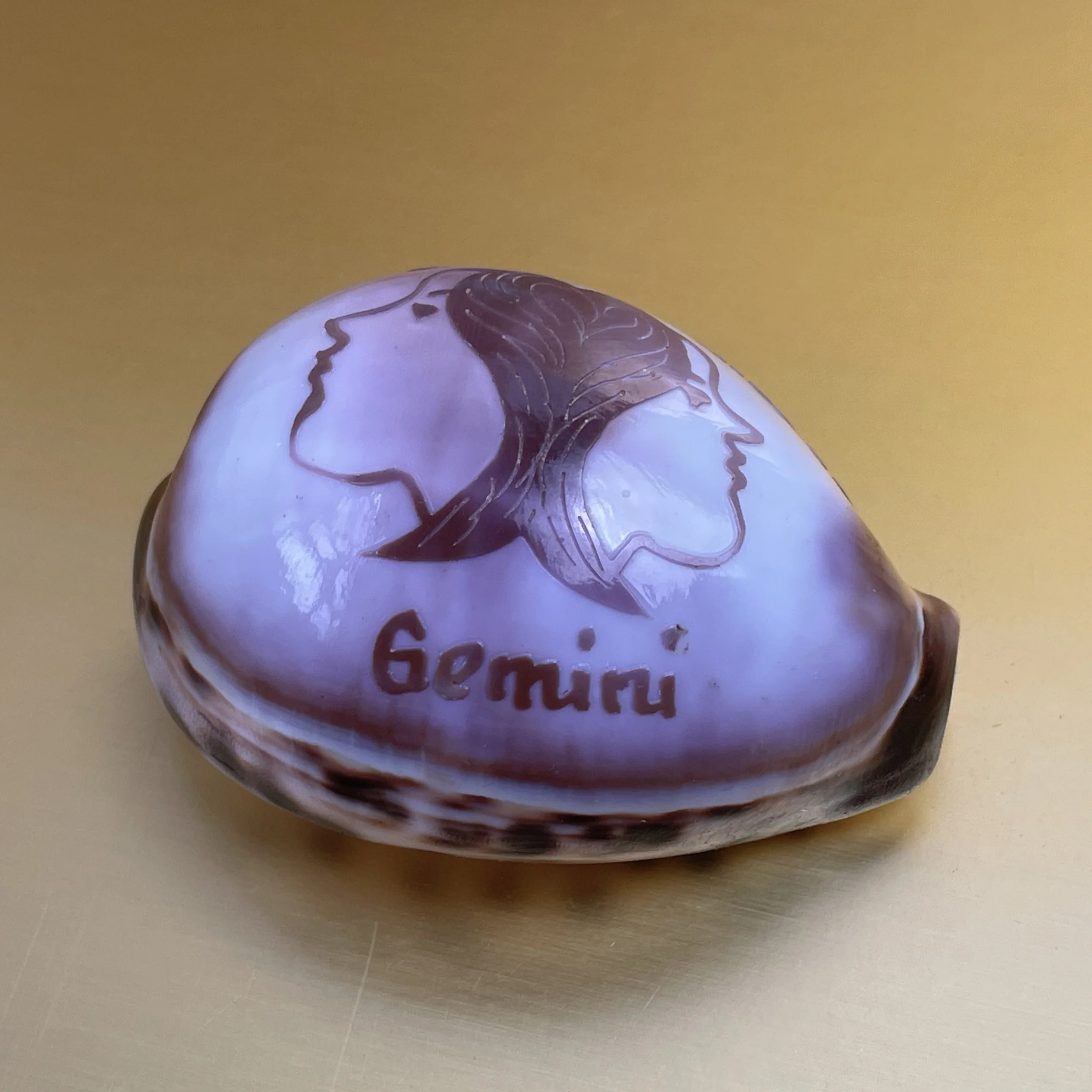 Large Tiger Cowrie Shell With Gemini Zodiac Engraving