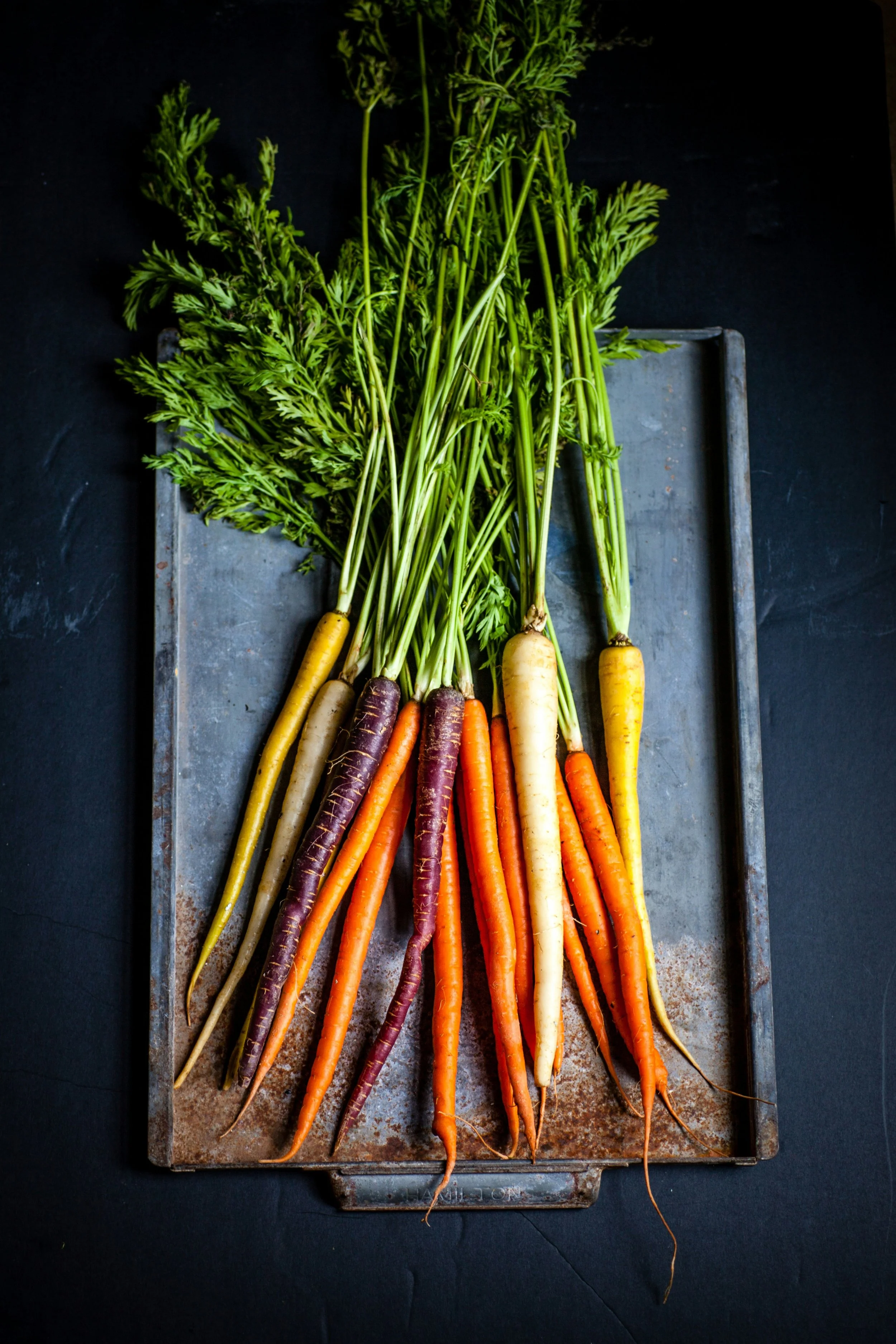 Carrots - Rainbow
