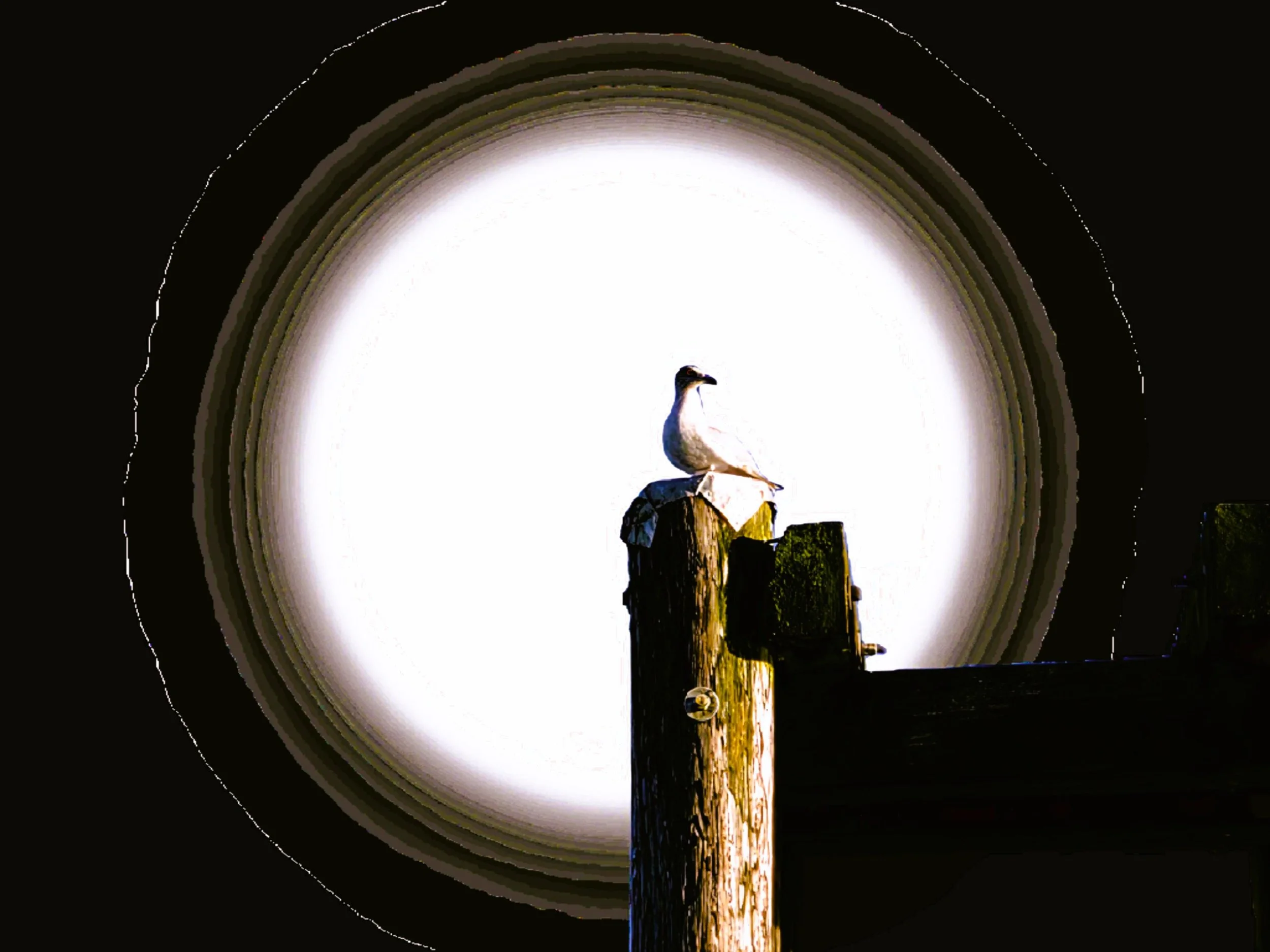 20251231_145722(0) 2.JPG