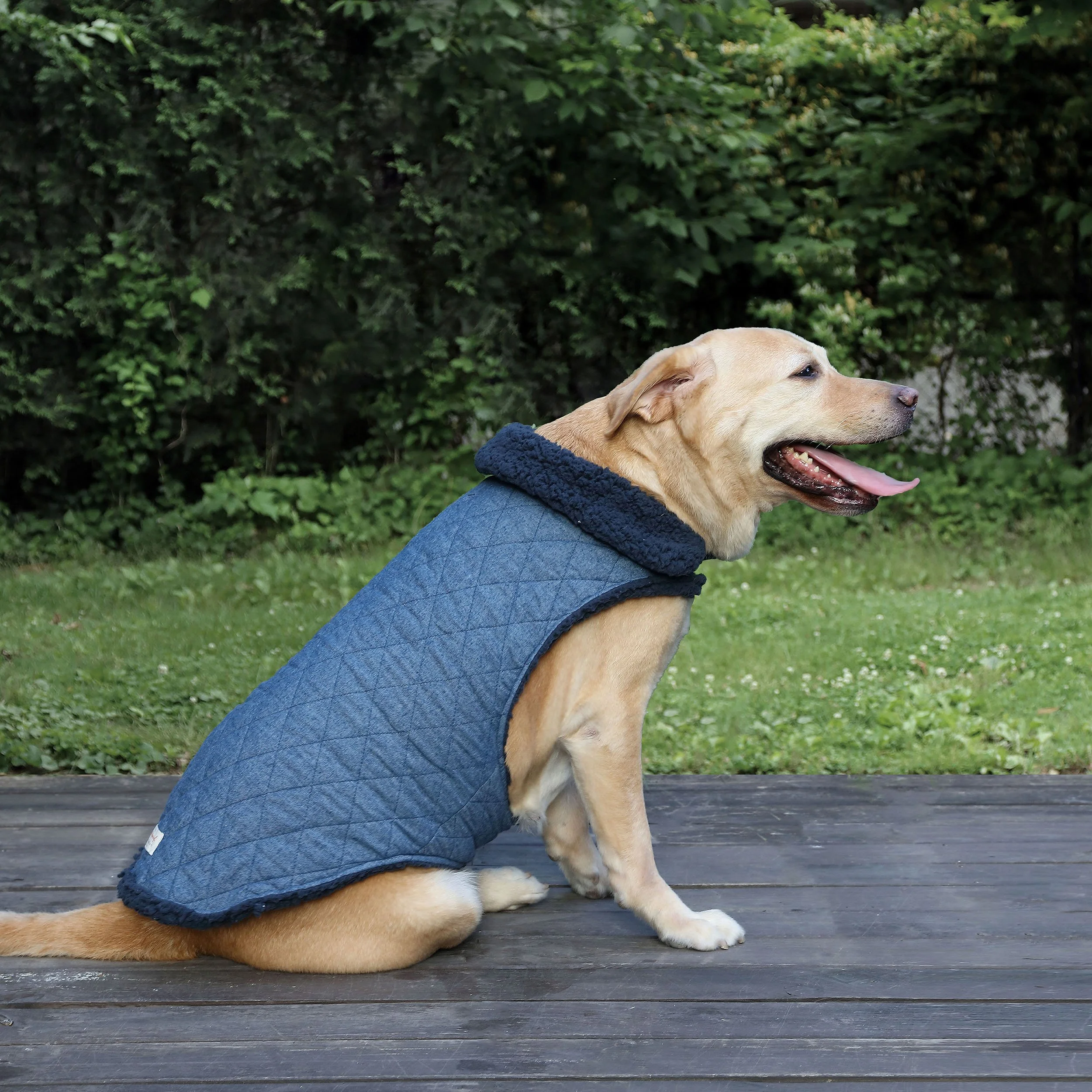 Weatherproof_F'20_Large_Reversible Quilted_Navy_Vest_Lifestyle.jpg