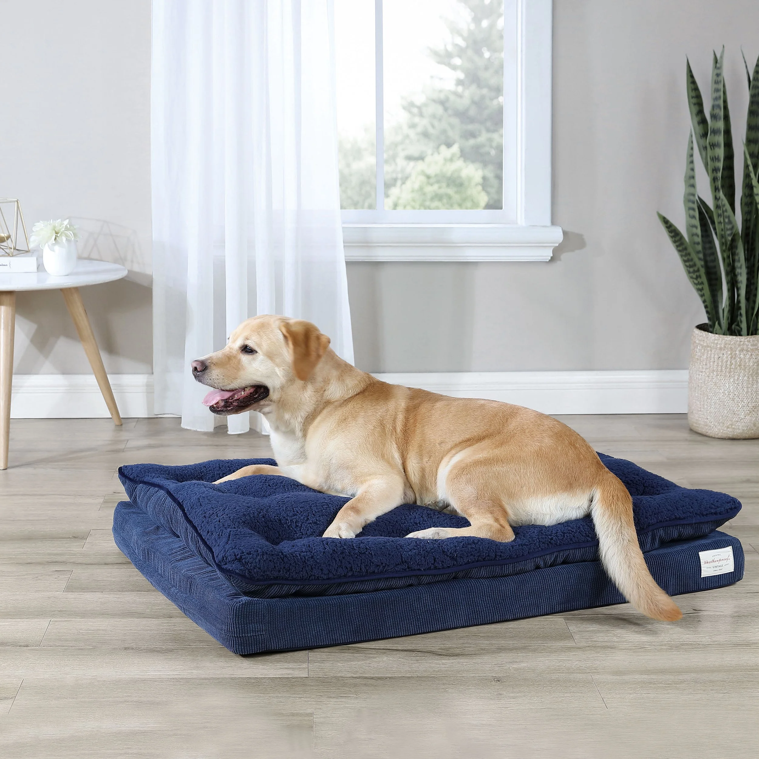 Weatherproof_F'20_Large_Pillowtop Lounger_Navy_Pet Bed_Lifestyle.jpg