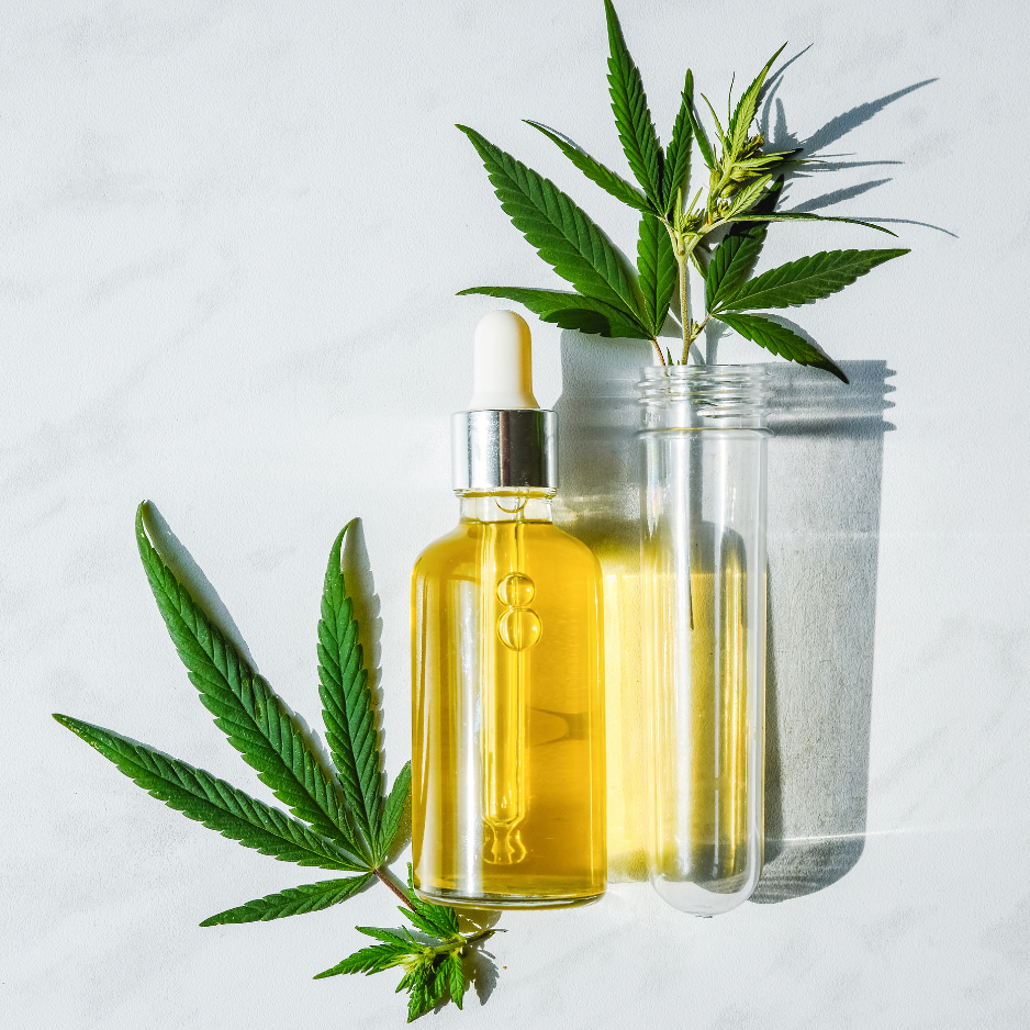 Green hemp leaves arranged artistically with a closed vial of CBD oil at Skunky.com